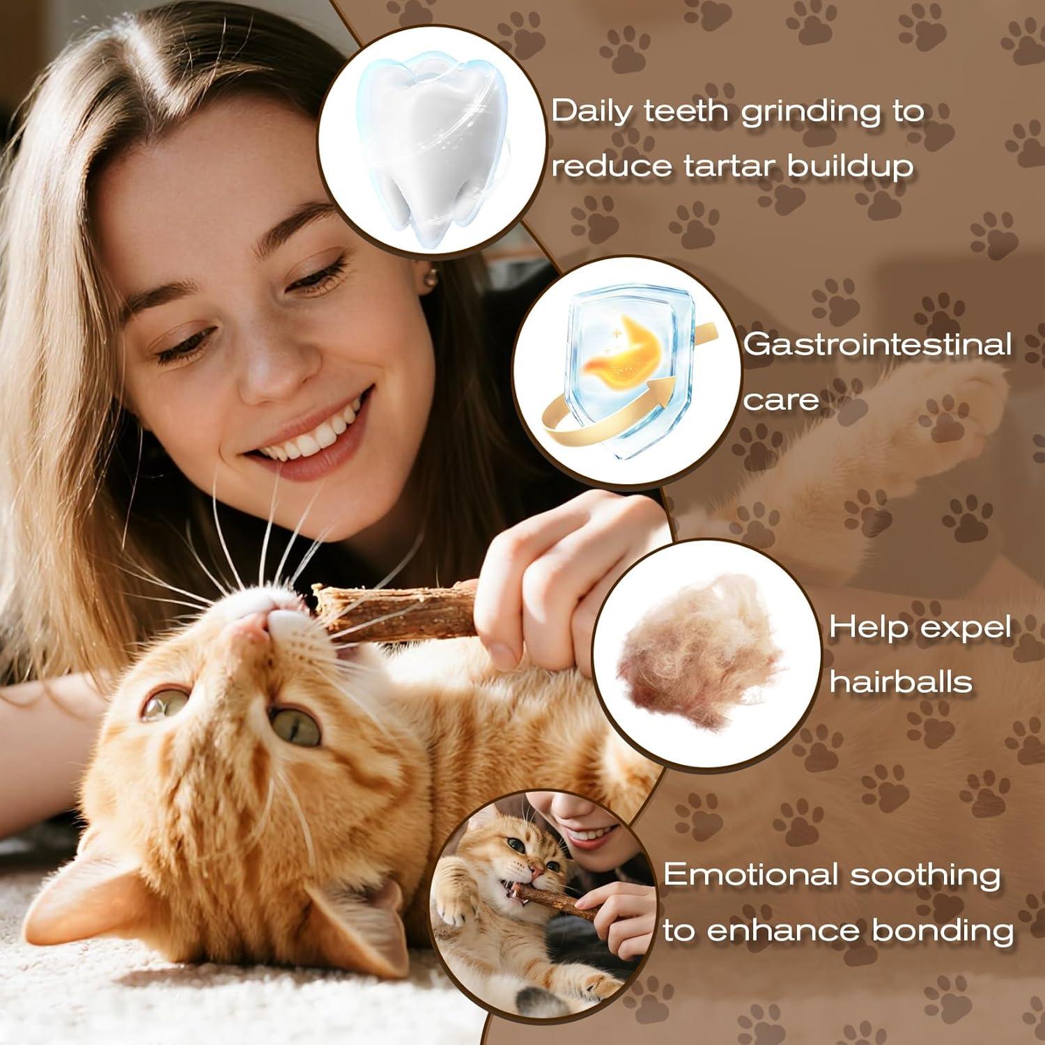 CARGEN Palos de Silvervine para Gatos - 12 Unidades, Cuidado Dental