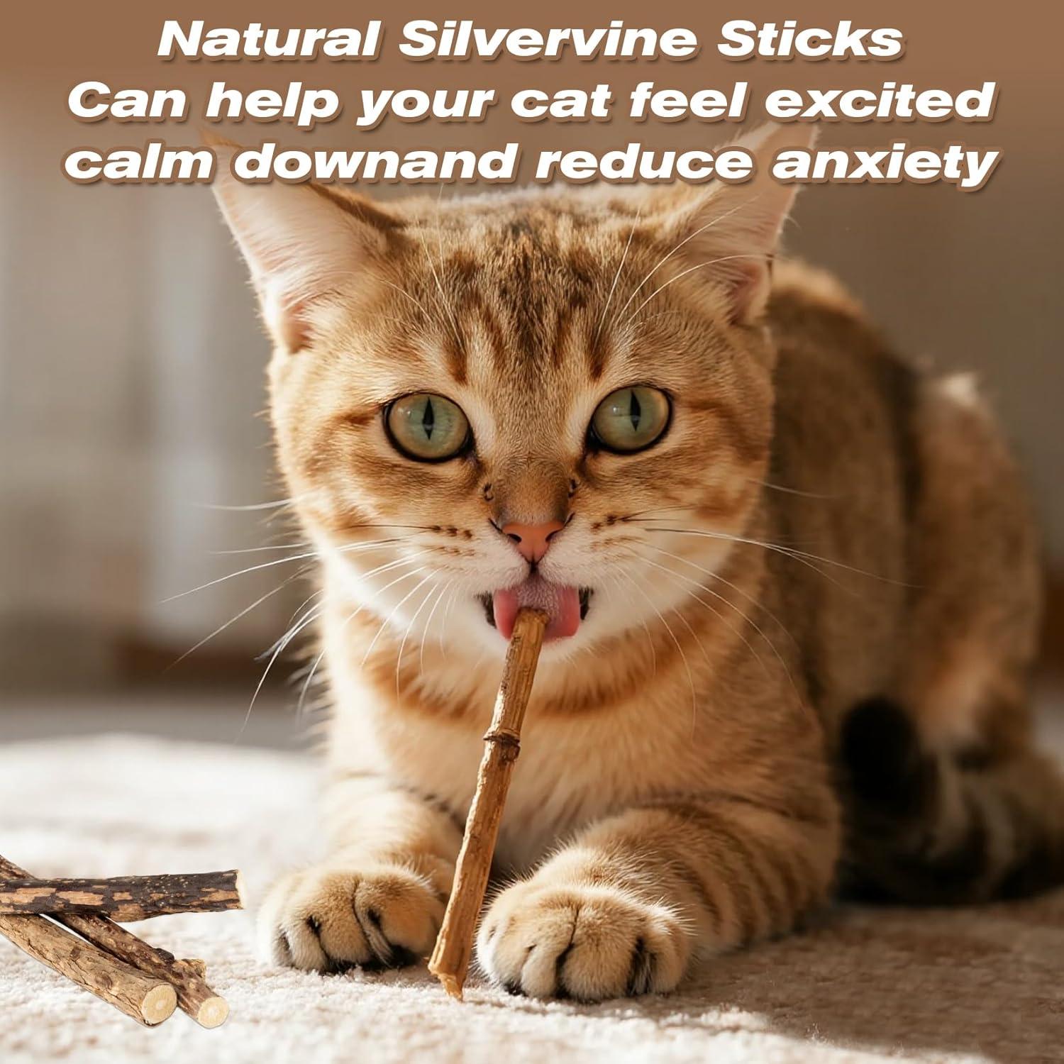 CARGEN Palos de Silvervine para Gatos - 12 Unidades, Cuidado Dental