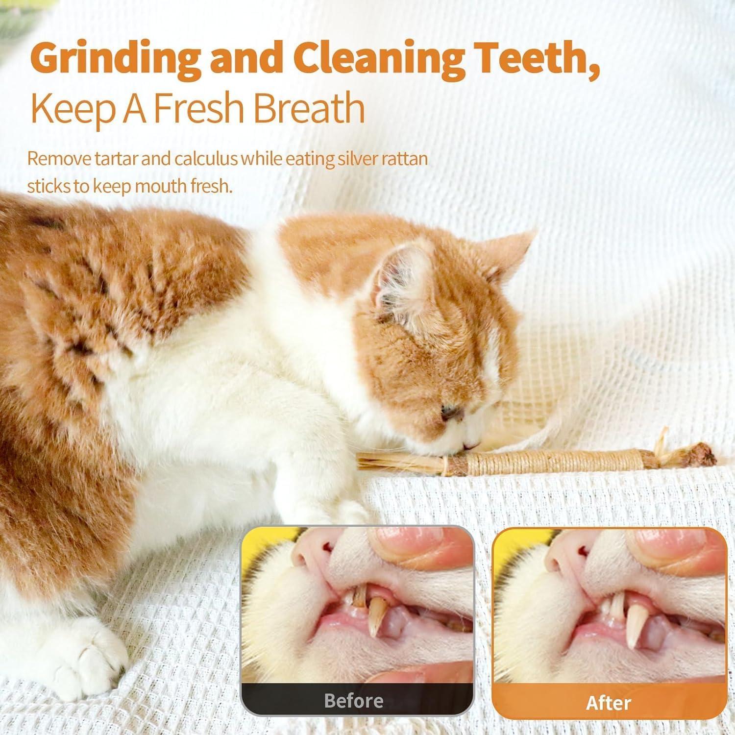 Juguetes Masticables para Gatos Lovely Caves - 3 Unidades