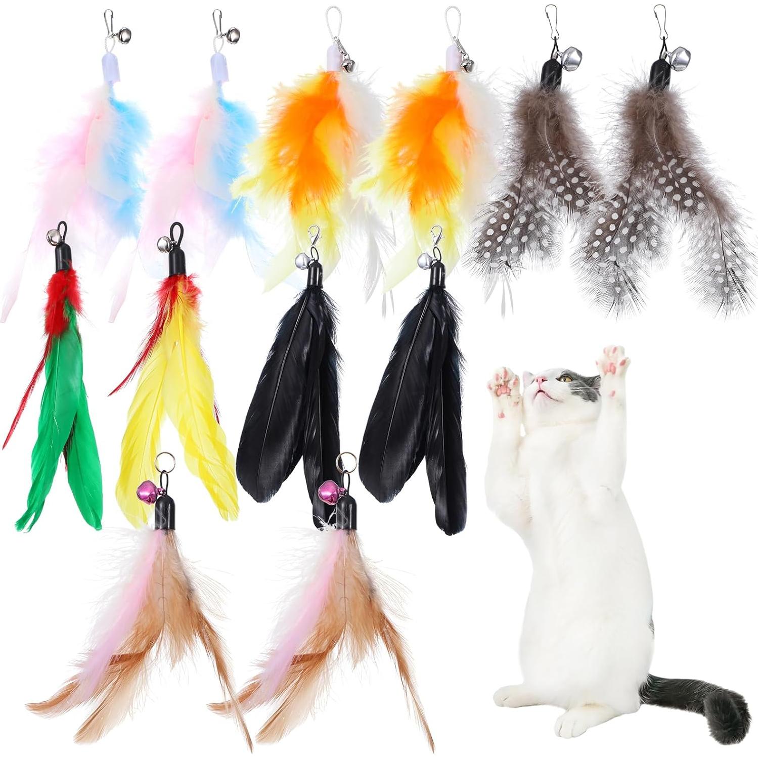 12 Repuestos de Plumas para Juguetes de Gato Kifmurase