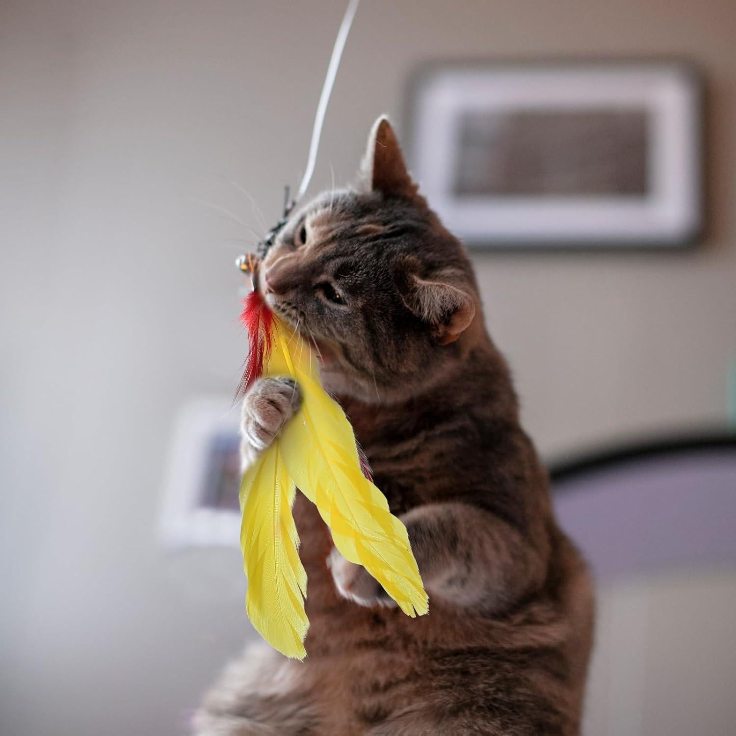 12 Repuestos de Plumas para Juguetes de Gato Kifmurase