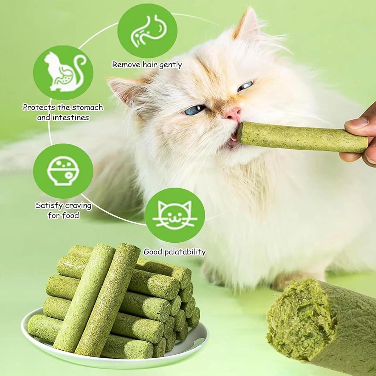 Galletas Liofilizadas para Gatos GREMBEB 90g - Control de Bolas de Pelo