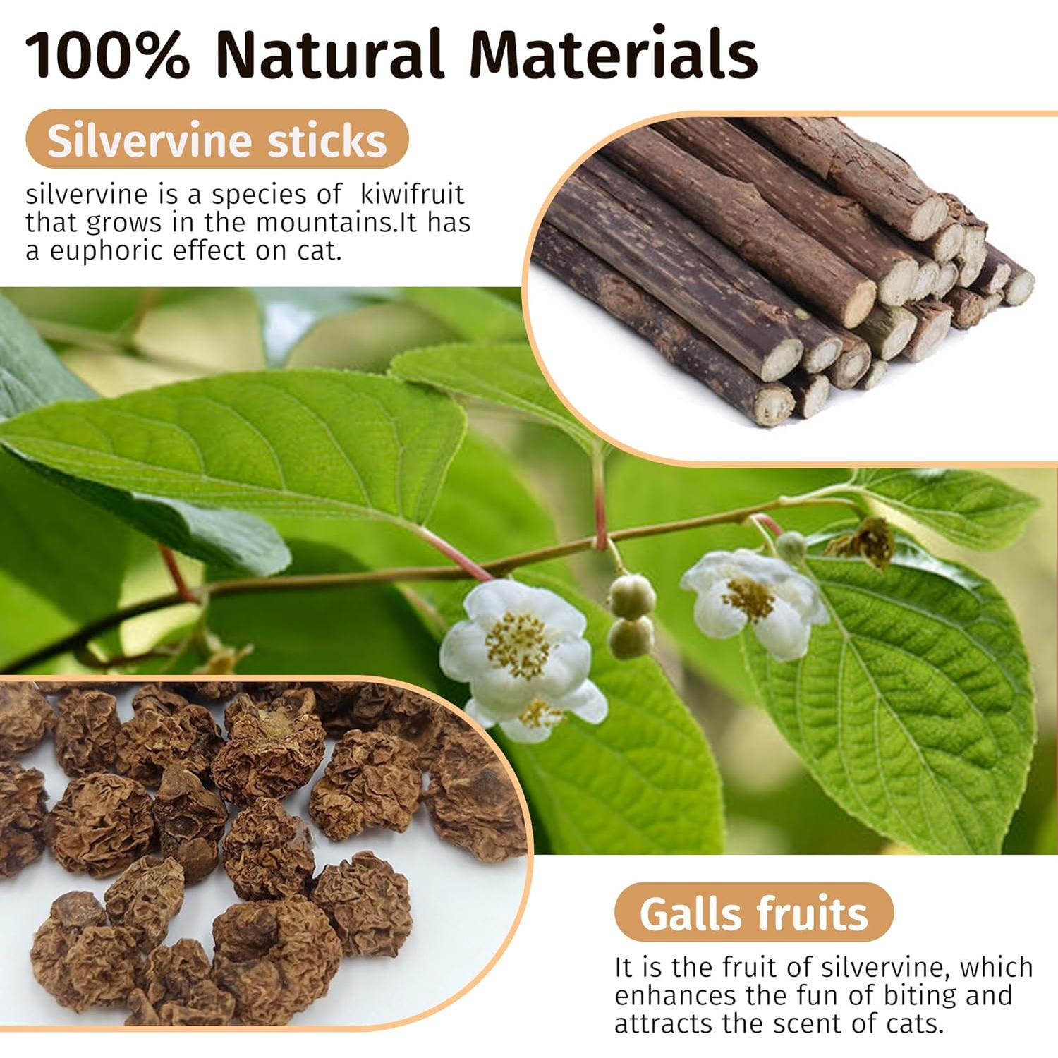 Juguete de Plumas para Gatos Greawaso - 5 Unidades de Silvervine Natural