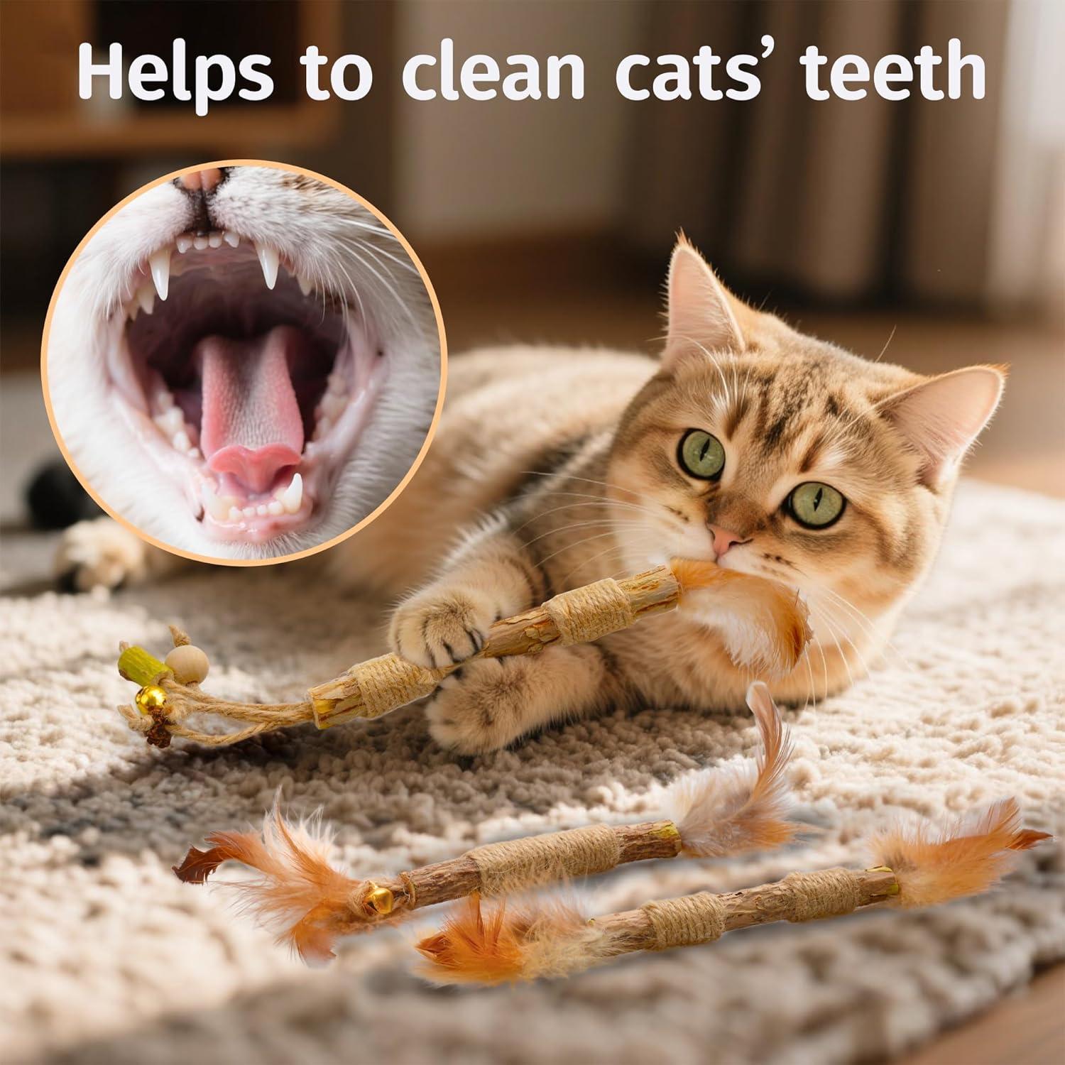 Juguete de Plumas para Gatos Greawaso - 5 Unidades de Silvervine Natural