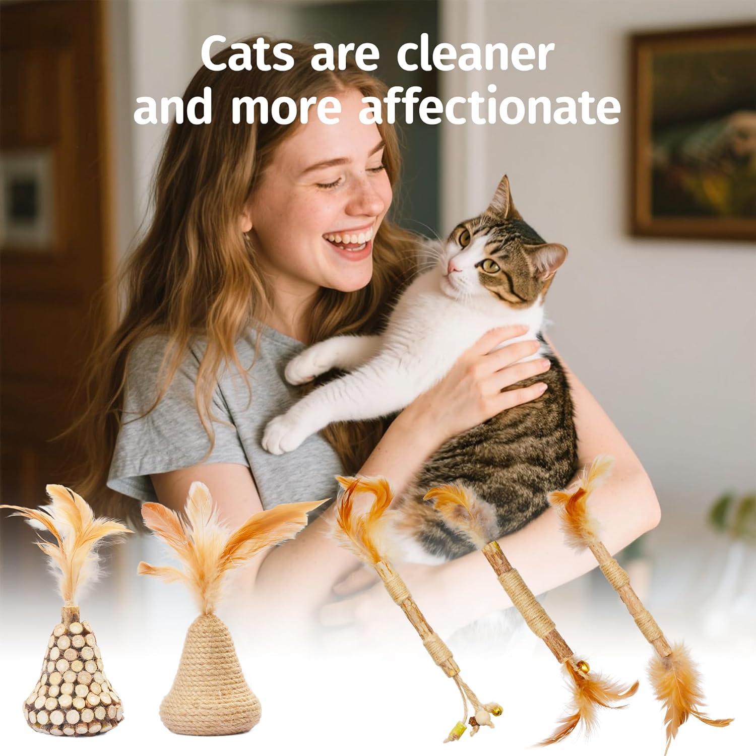 Juguete de Plumas para Gatos Greawaso - 5 Unidades de Silvervine Natural