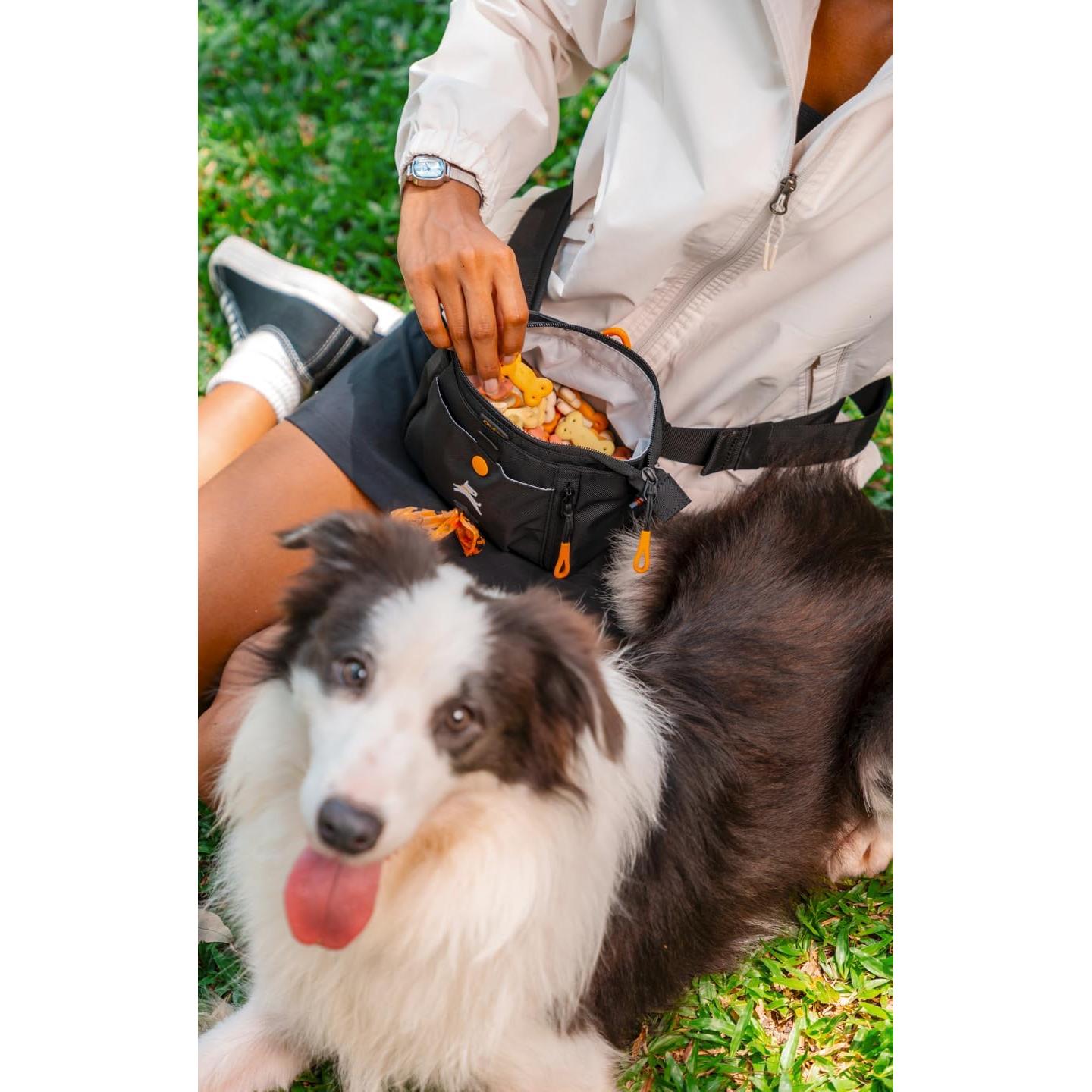 Bolsa de Entrenamiento para Perros OllyDog Cuervo S'25