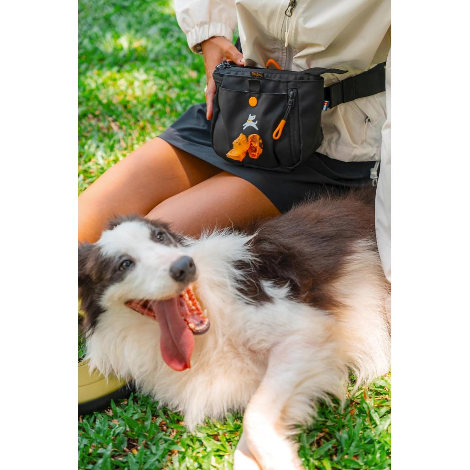 Bolsa de Entrenamiento para Perros OllyDog Cuervo S'25