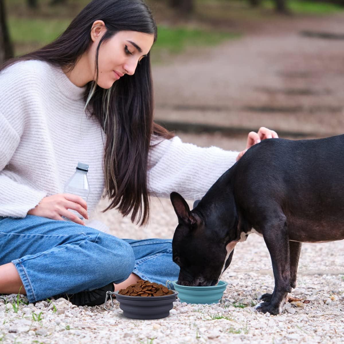Cuencos Colapsables para Perros Kytely 650ml 2 Pack Azul Gris