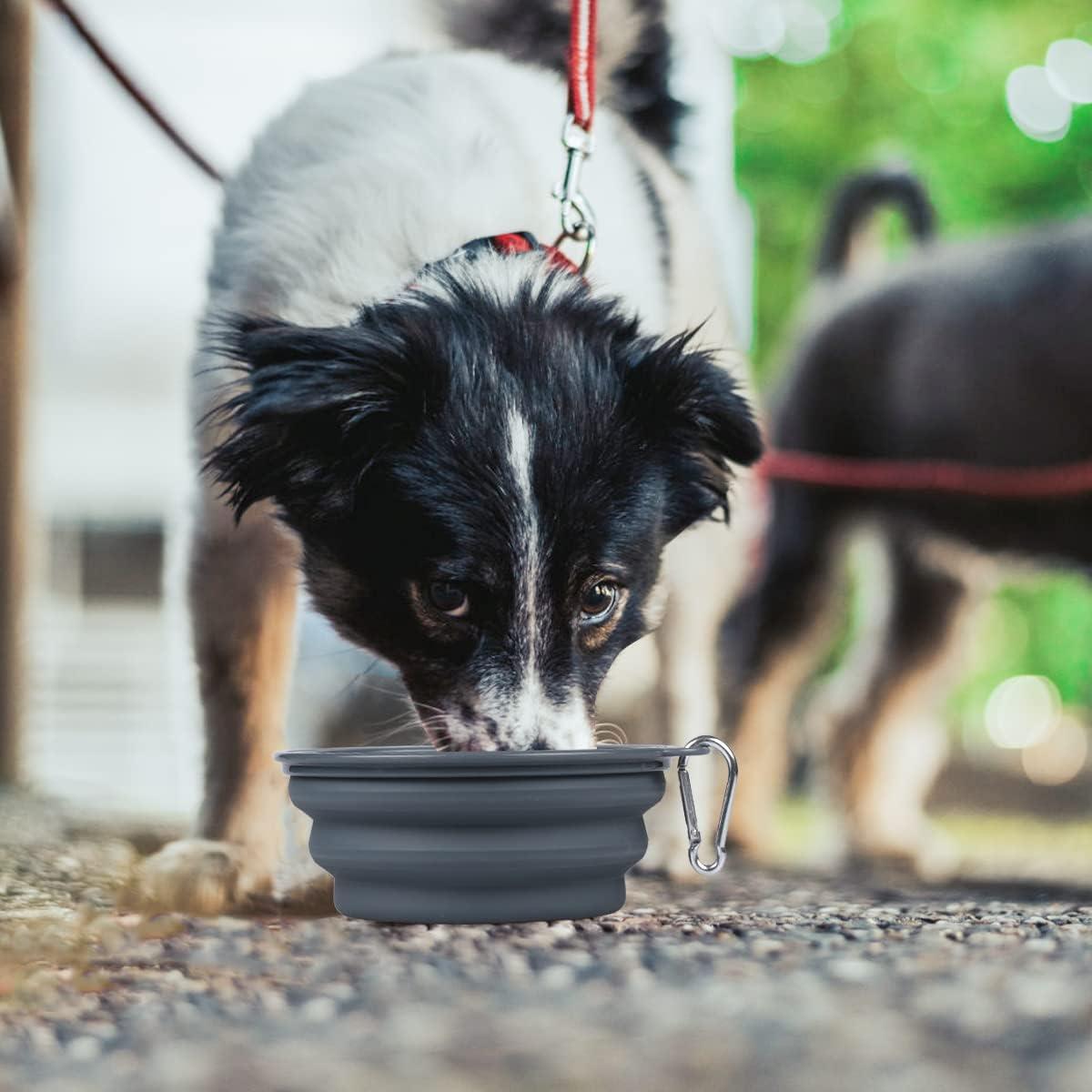Cuencos Colapsables para Perros Kytely 650ml 2 Pack Azul Gris