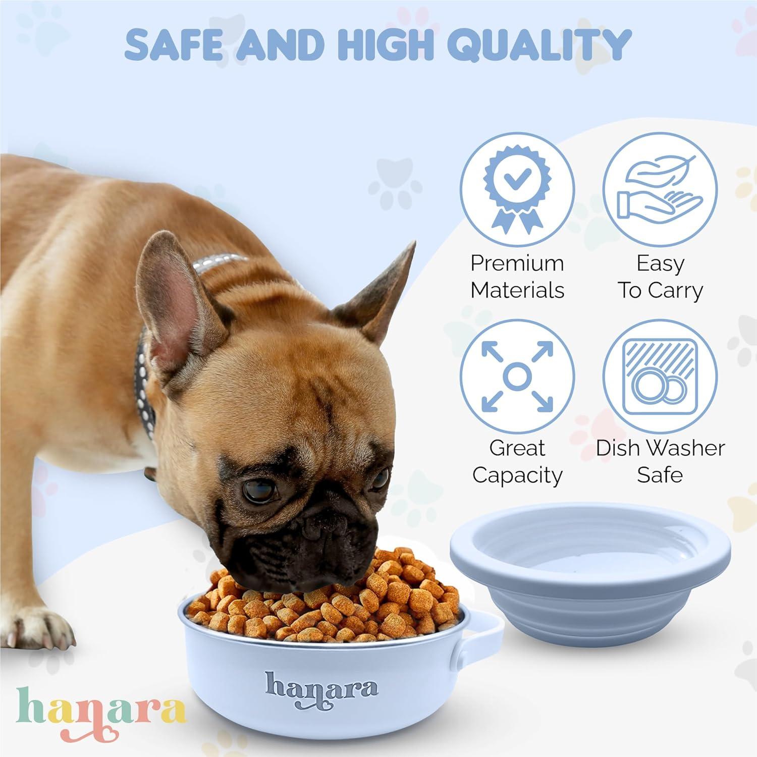 Cuenco para Perros HANARA 2-en-1 Acero Inoxidable 0.88L Azul