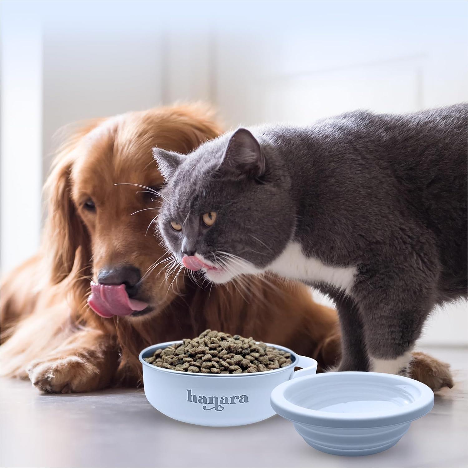 Cuenco para Perros HANARA 2-en-1 Acero Inoxidable 0.88L Azul