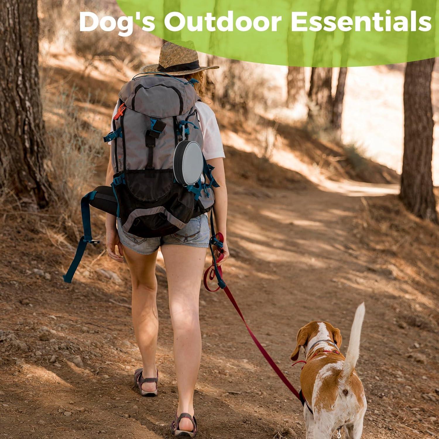 Tazón Plegable para Perro Ideamake 2 en 1 Silicona Gris