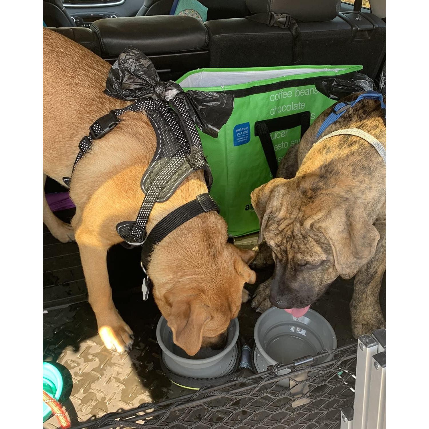 Tazón Plegable para Mascotas KALLAK 2 en 1 750mL Doble