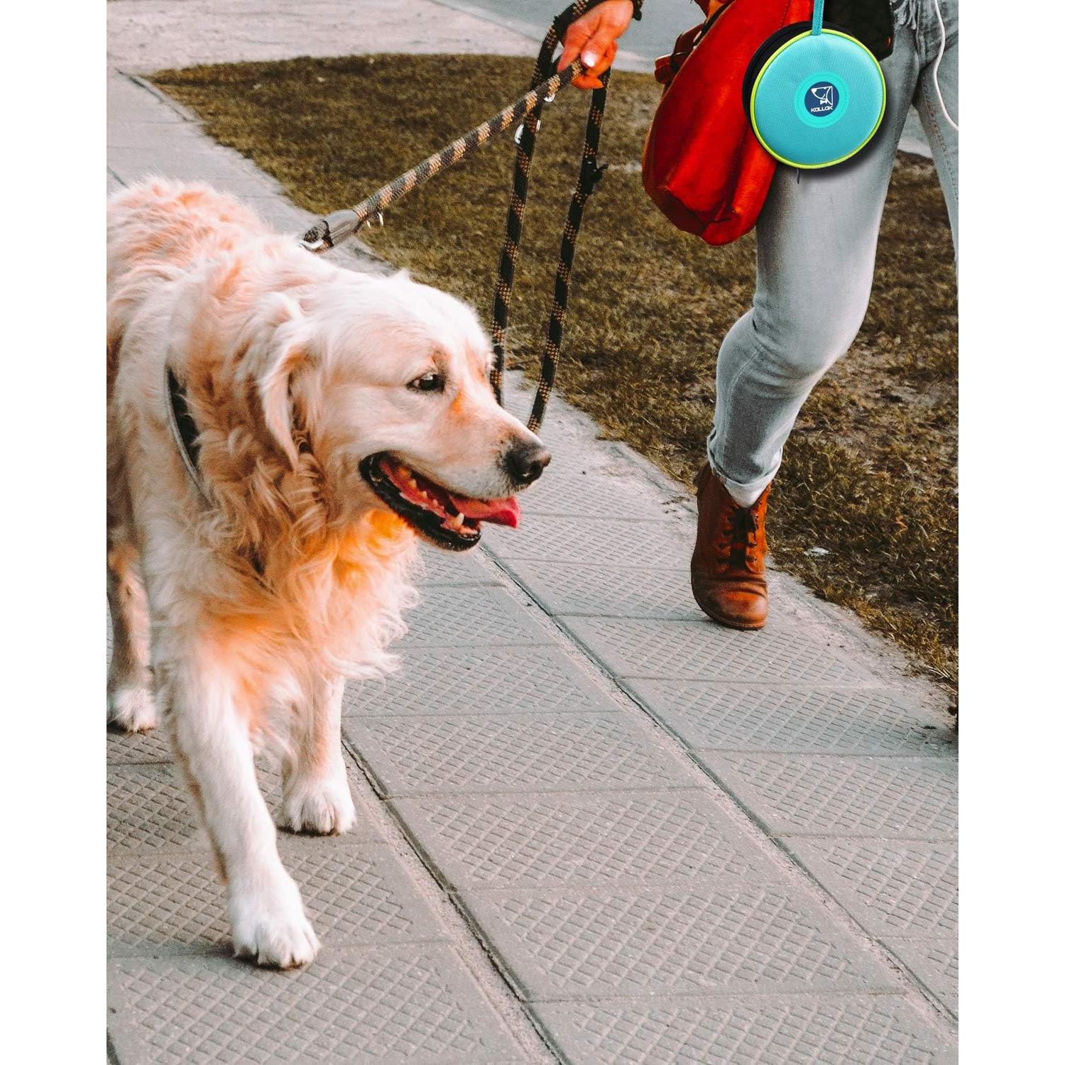 Tazón Plegable para Mascotas KALLAK 2 en 1 750mL Doble