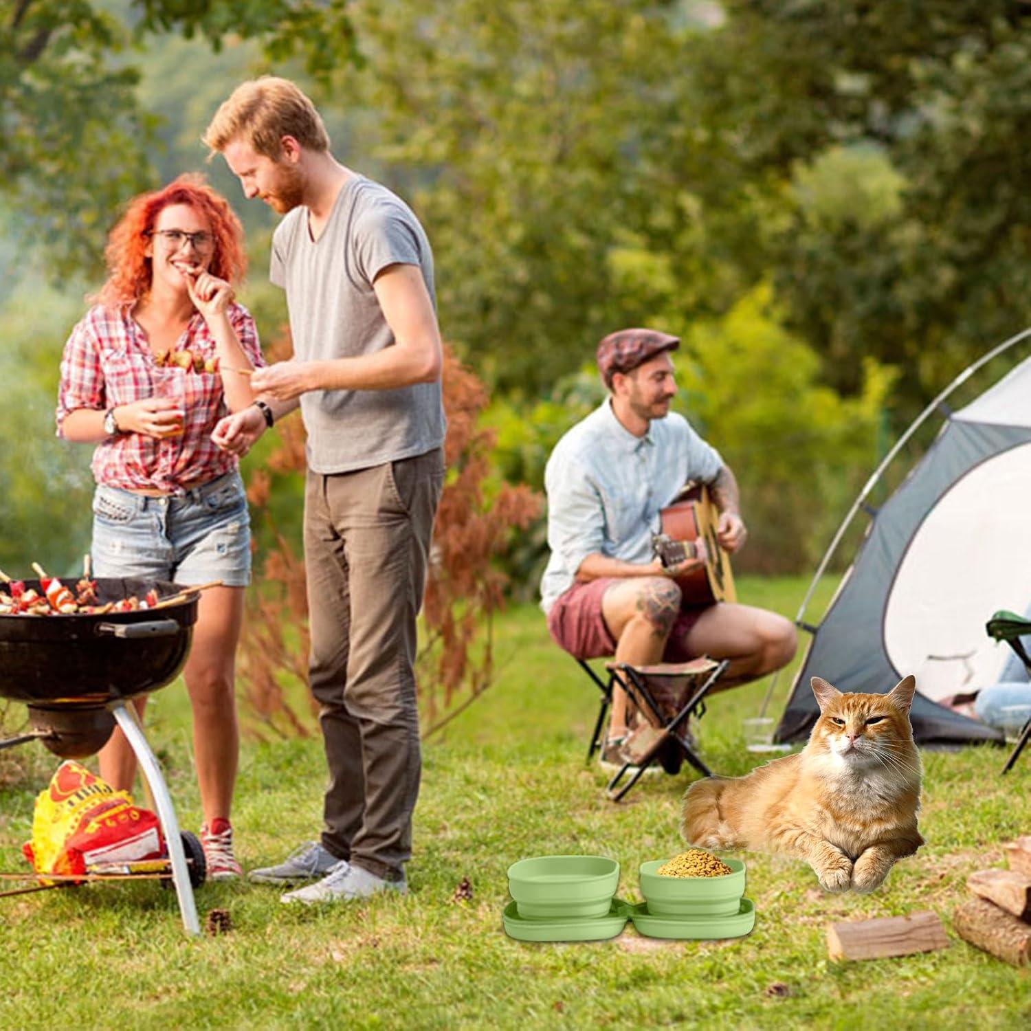 Cuencos Dobles Plegables Petseek para Gatos y Perros - Silicona