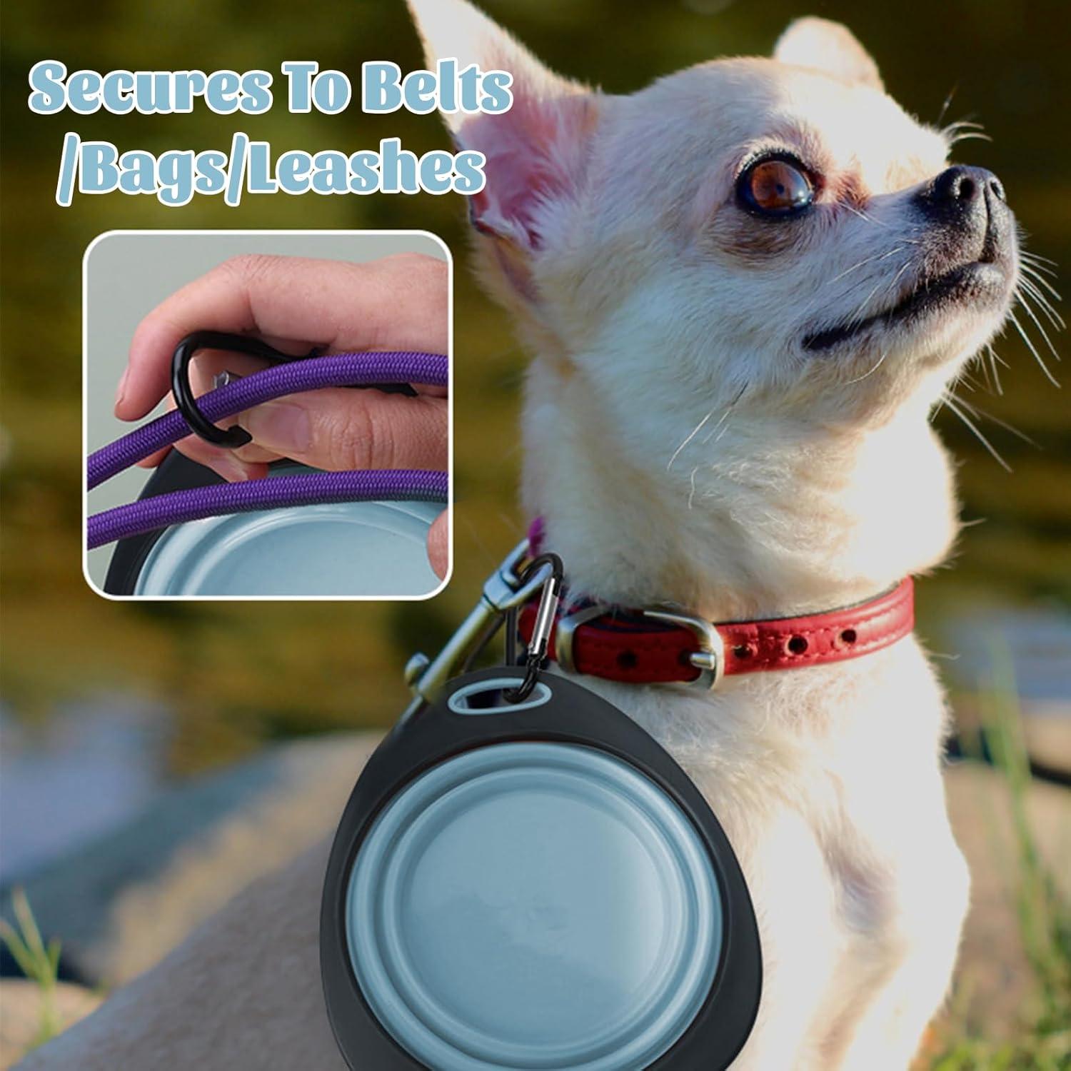 Cuencos Plegables para Perros LERAO - 320ml, 2 Piezas