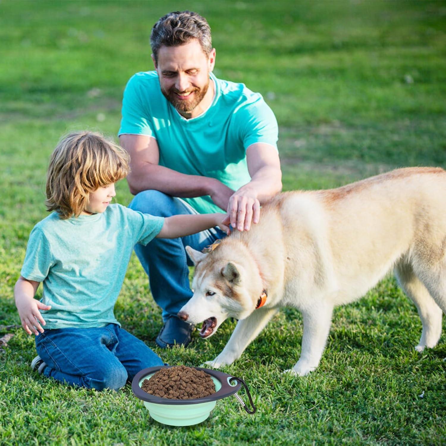 Cuencos Plegables para Perros LERAO - 320ml, 2 Piezas