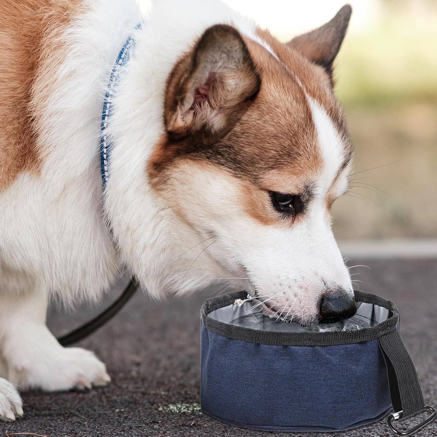 Paquete de 2 Cuencos Plegables para Perros Skrfren 1.18L