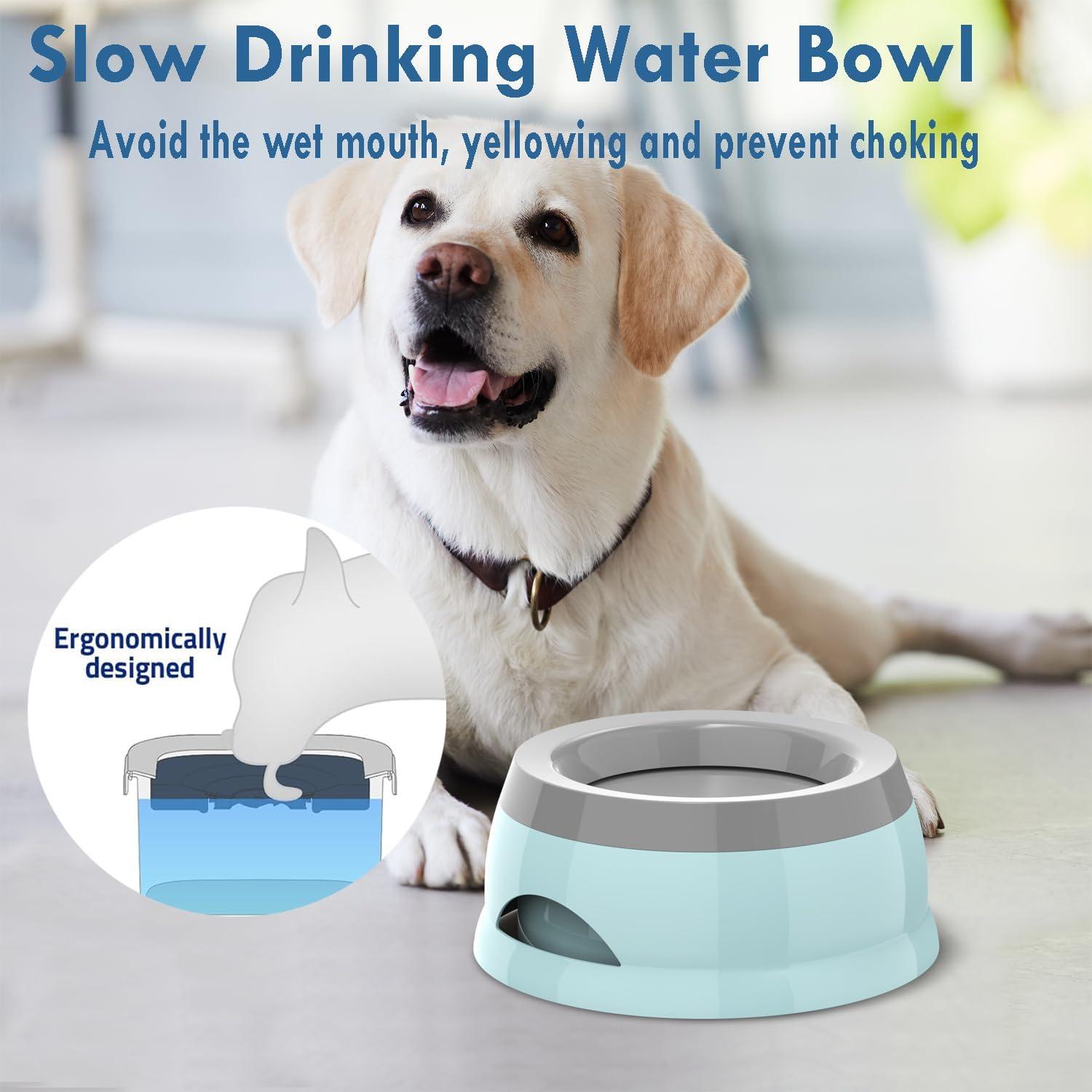 Tazón de Agua Antideslizante Takfox 750ml para Perros y Gatos