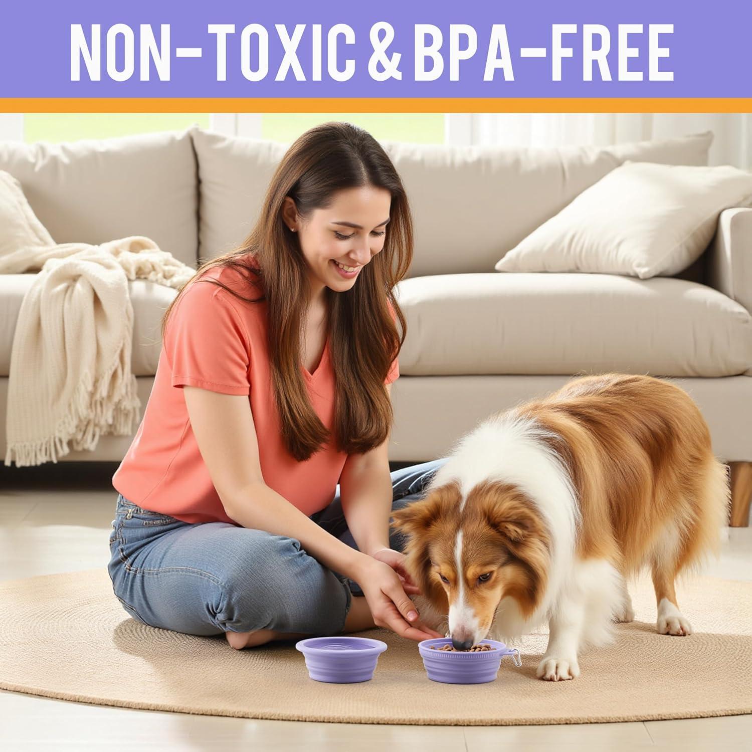 Tazón Plegable para Perros Li&Zhao - Silicona Antideslizante