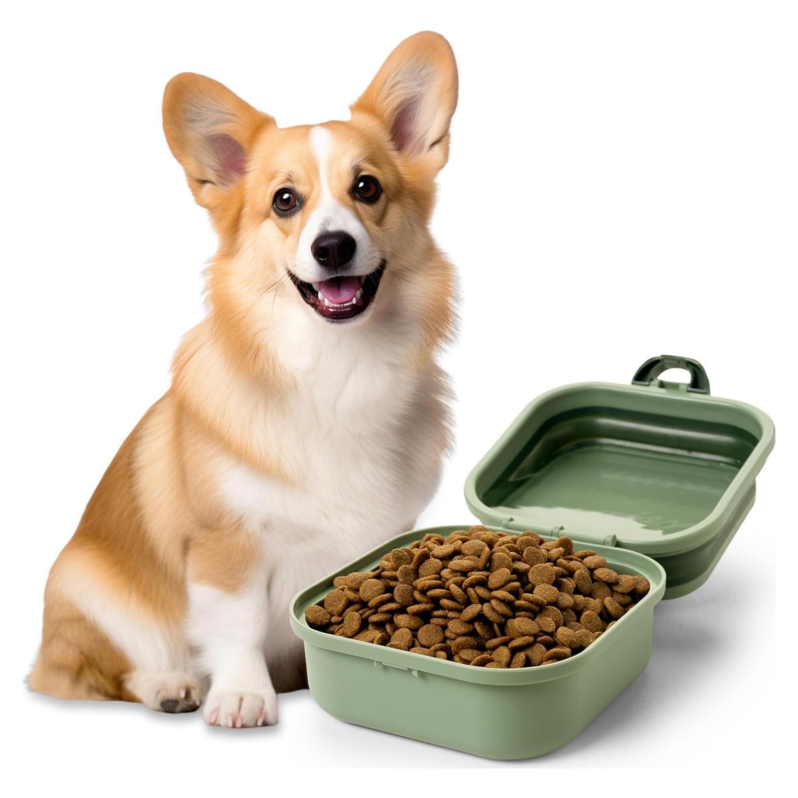 Cuenco de Agua y Comida para Perros Jieffifa 2 en 1 Portátil