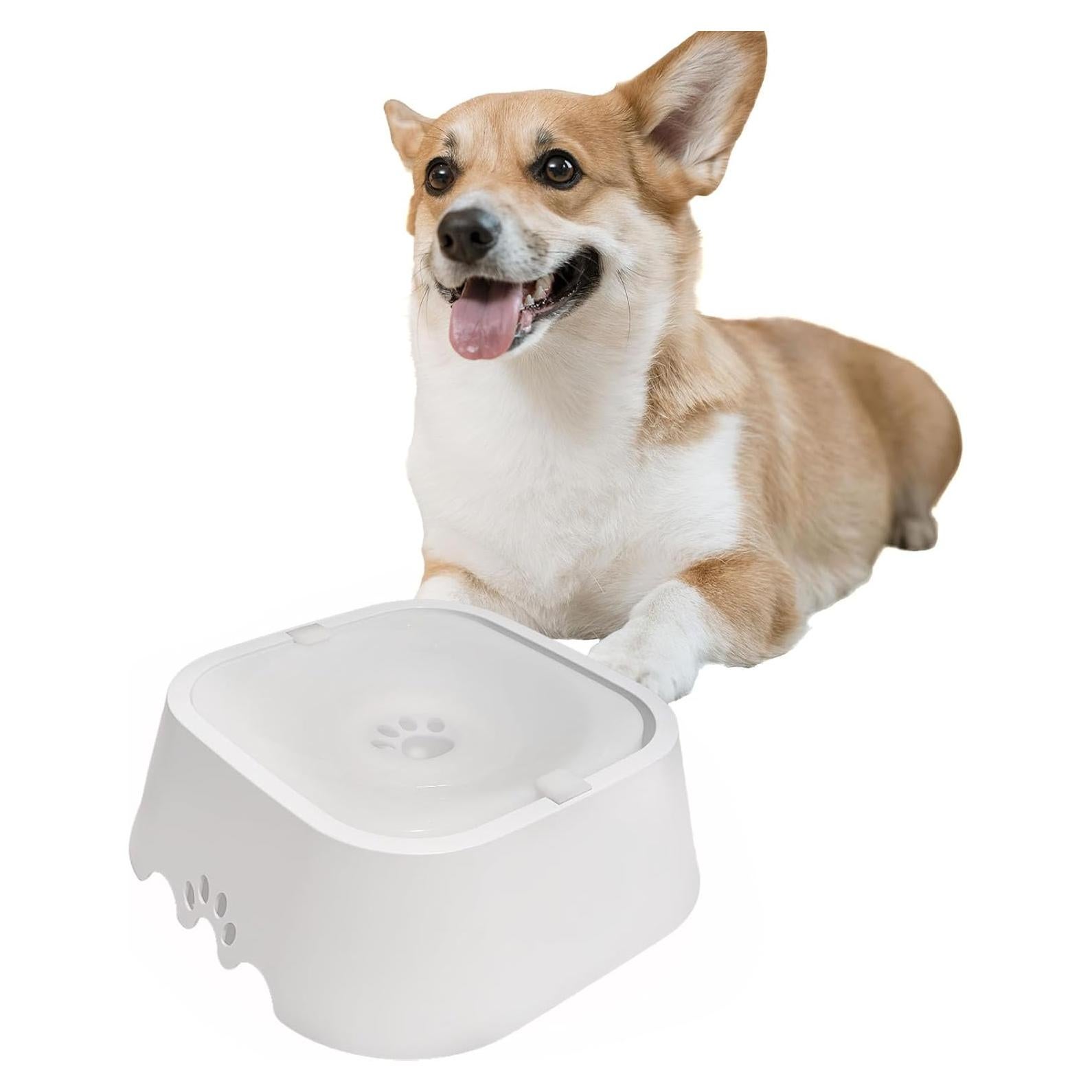 Tazón de Agua para Mascotas Poksolfy 1L Sin Derrames Blanco