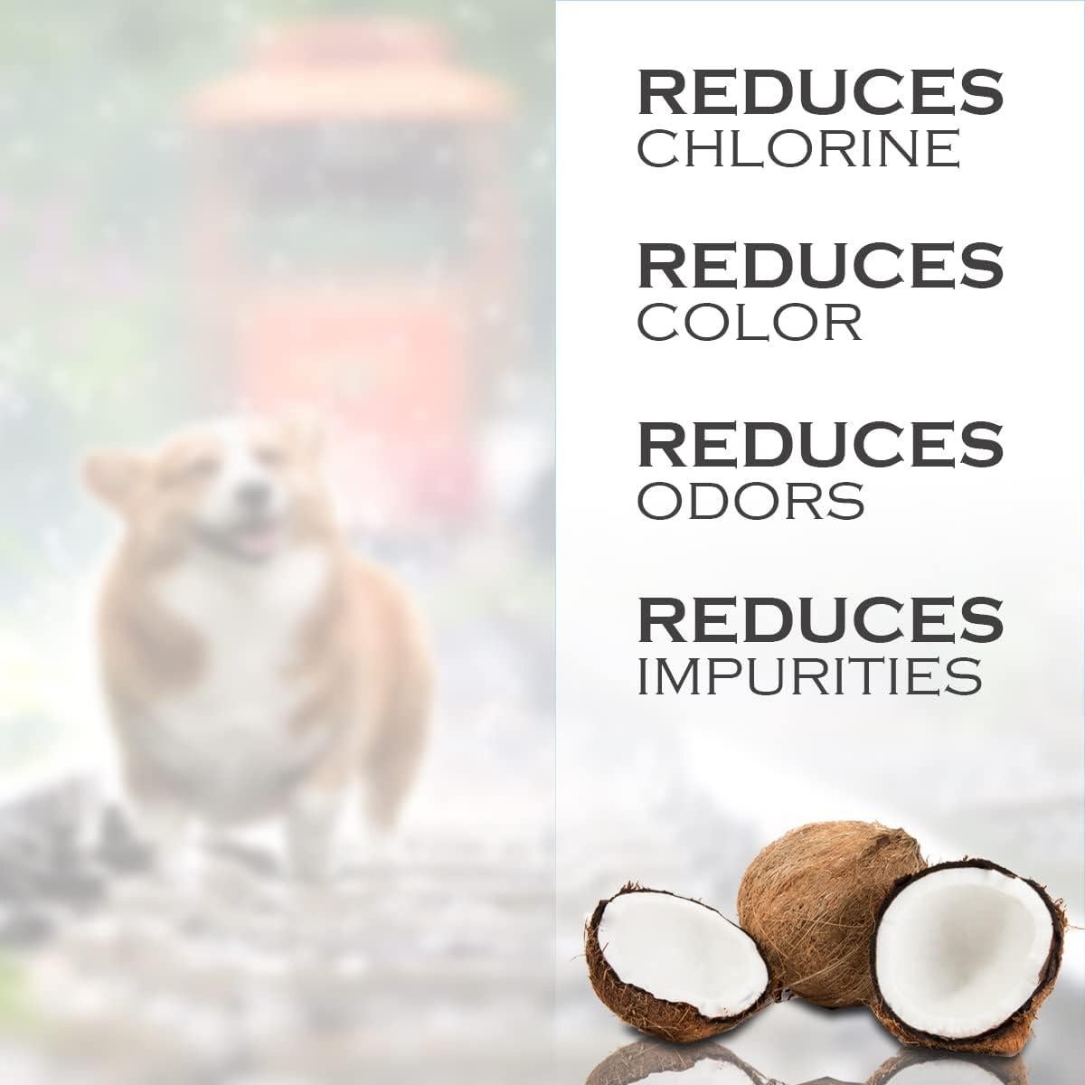 10 Filtros de Agua de Carbón IT'S PURE EXPERT para Pioneer Pet