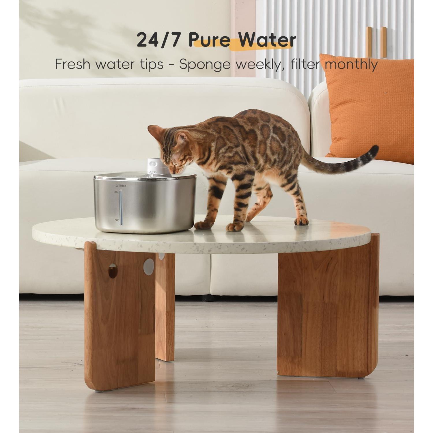 Paquete de 8 Filtros y 32 Esponjas WILKIEE FS10 Plus