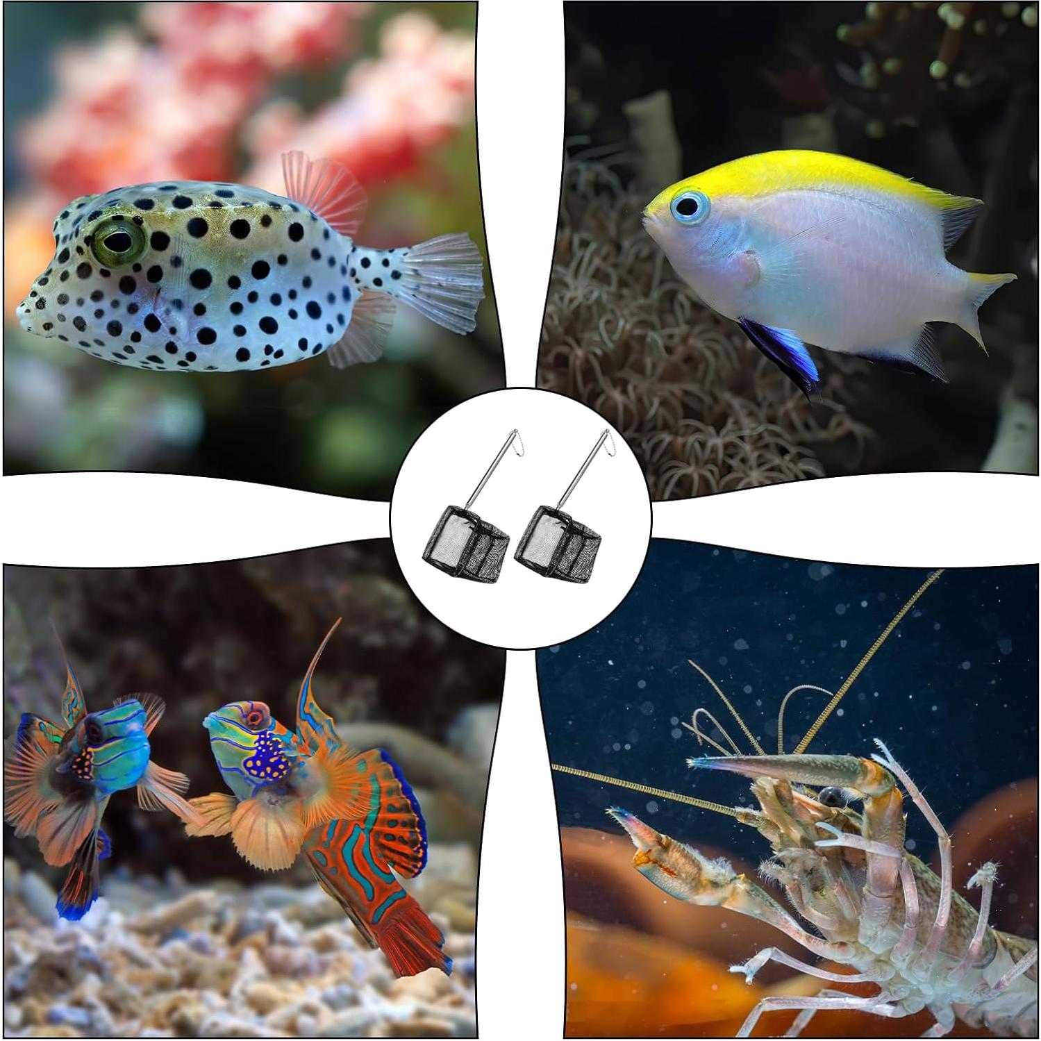 2 Piezas Red de Pesca Acuario QfwdfcTrenz Nylon 8x8cm