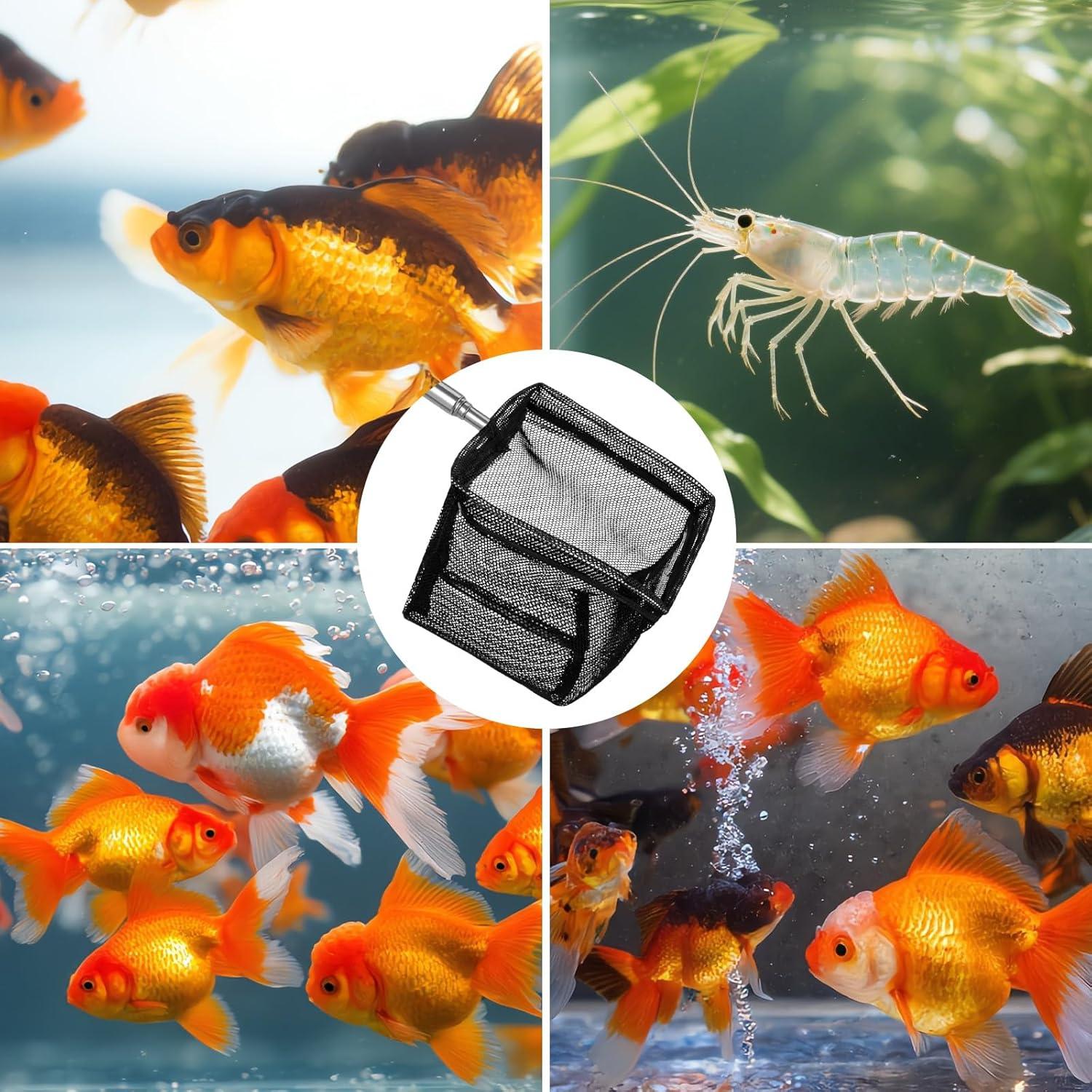 Paquete de 2 Redes de Acuario Vin Beauty 7.62 cm Nylon