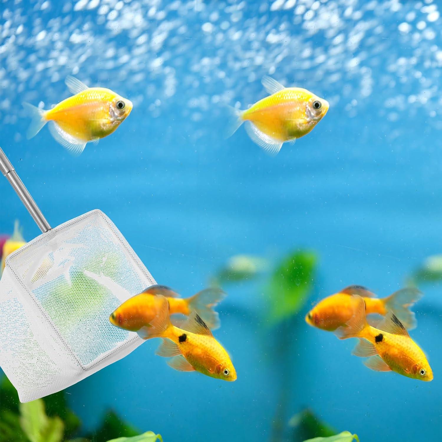Red de Pescado para Acuario SynHHergyx, 2 Pcs, Malla Fina
