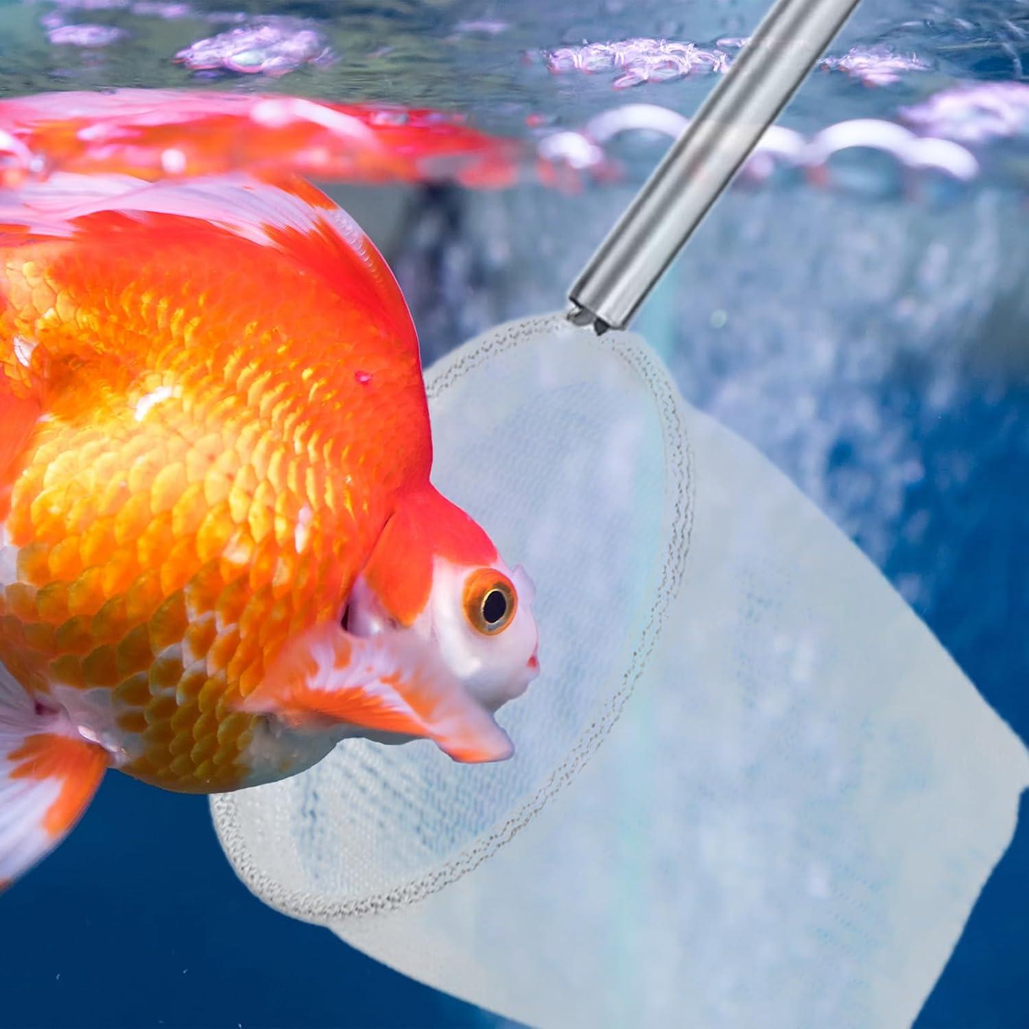 Red de Acuario Xelsluthe 2 Pcs con Mango Telescópico 5cm