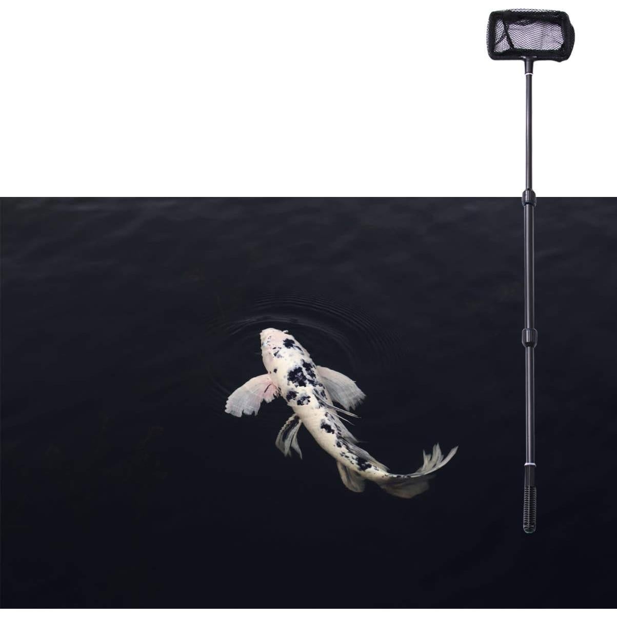 Red de Pesca POPETPOP Telescópica 100 cm para Acuario