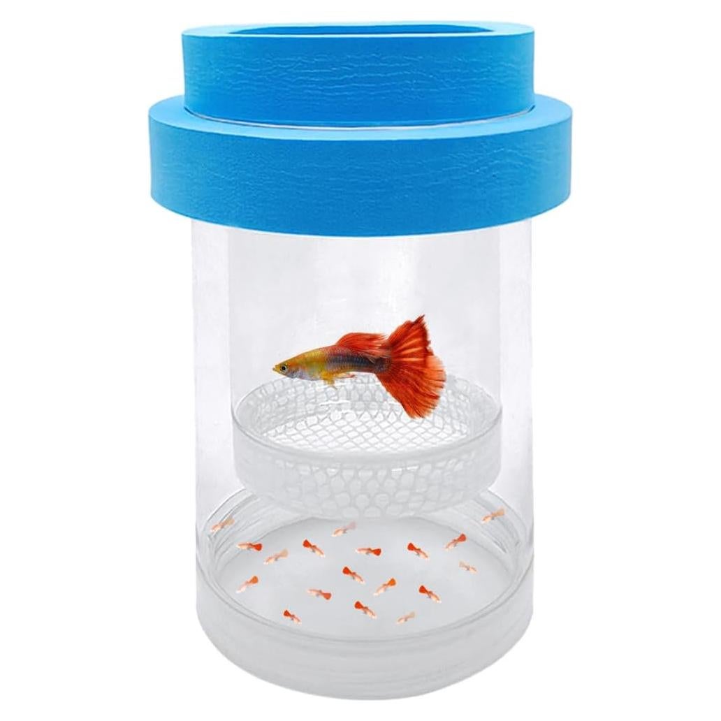 Caja de Incubación Flotante Kirmoo para Peces Bebé Azul Mediana