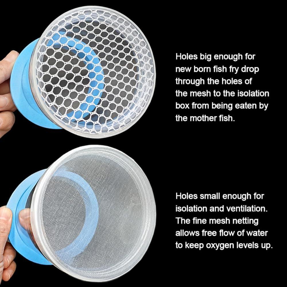 Caja de Incubación Flotante Kirmoo para Peces Bebé Azul Mediana