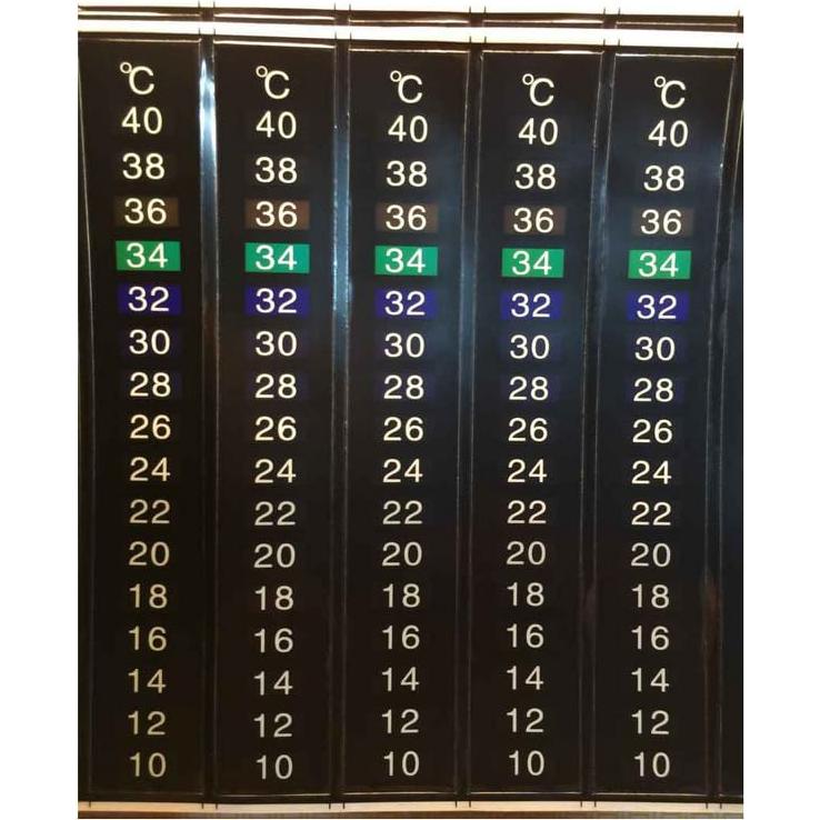 Tiras de Termómetro Adhesivas Generric 10 Piezas 10-40°C