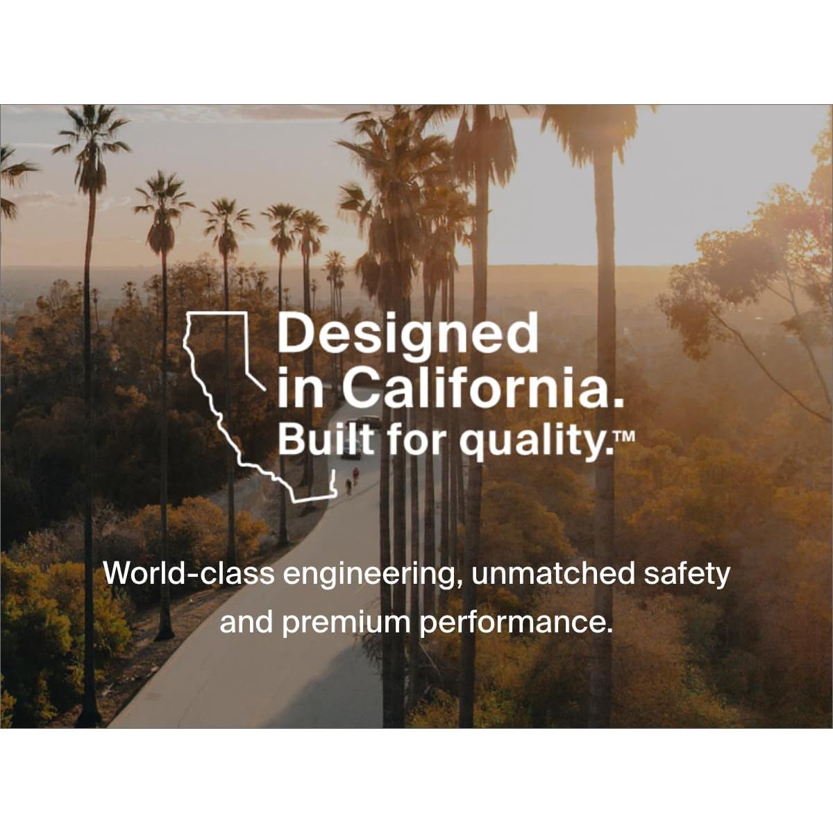 Cable de Extensión USB Belkin F3U153BT3M 3.05m Negro