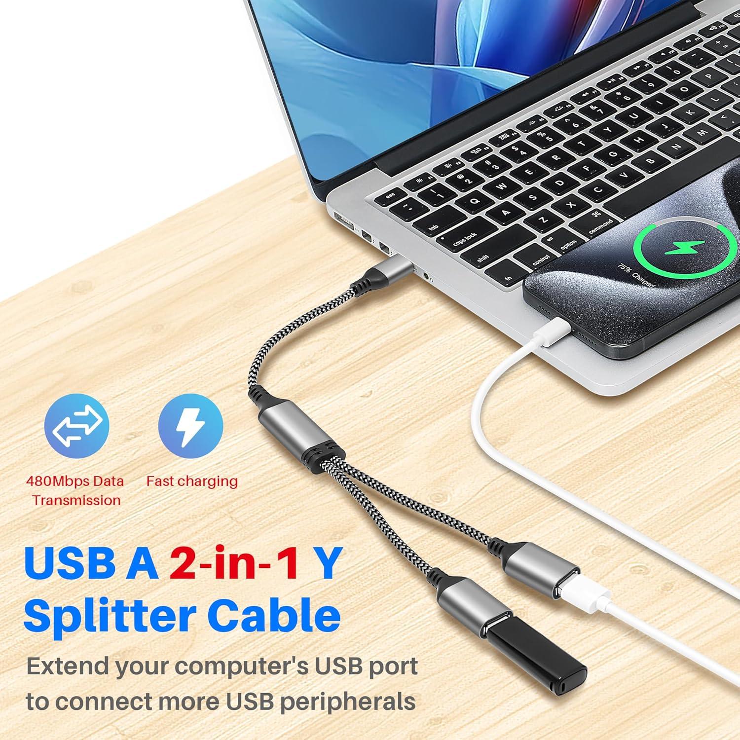 Divisor USB 1 en 2 Lamroyce 0.61m Macho a Doble Hembra