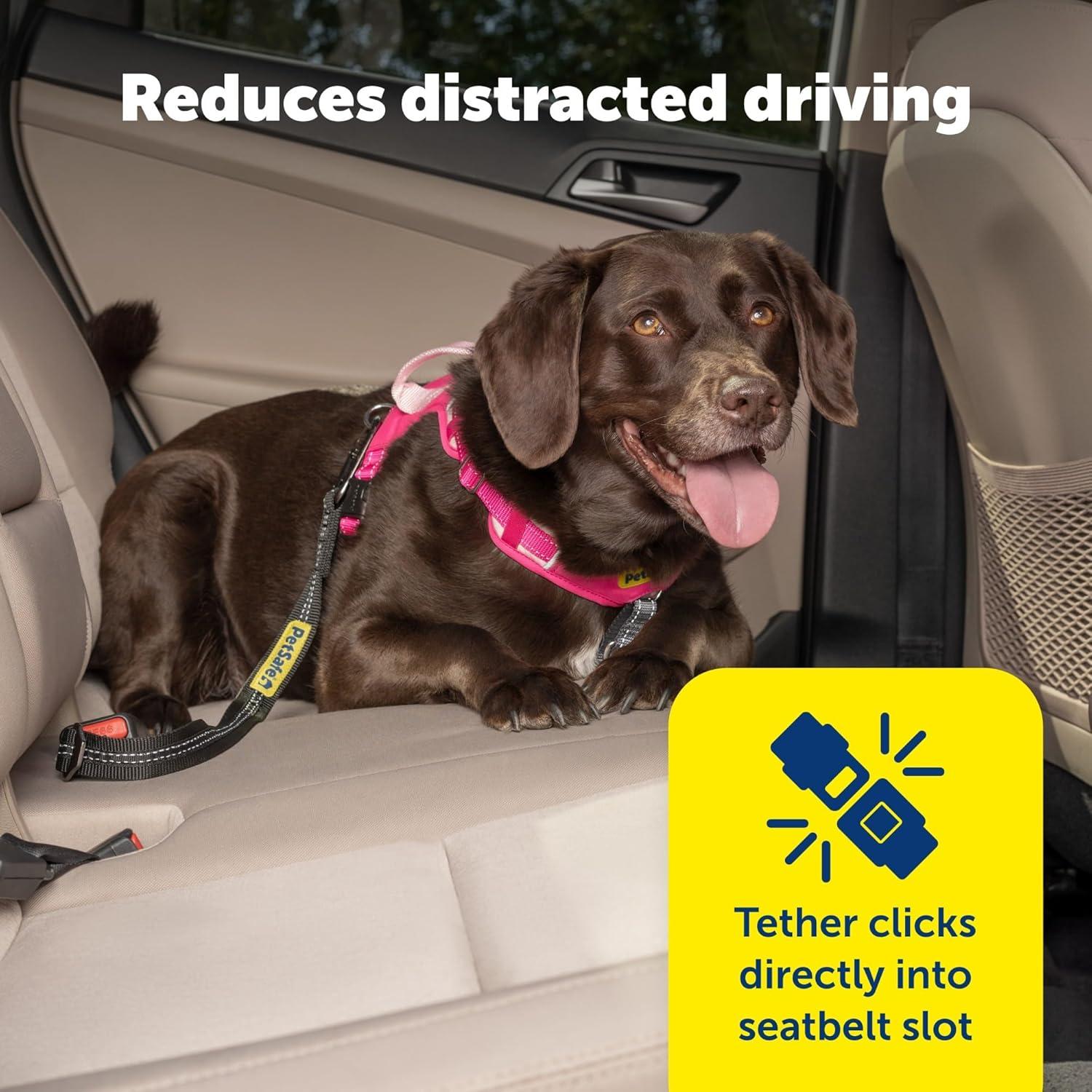 Cinturón de Seguridad para Perros PetSafe Ajustable 38-56 cm