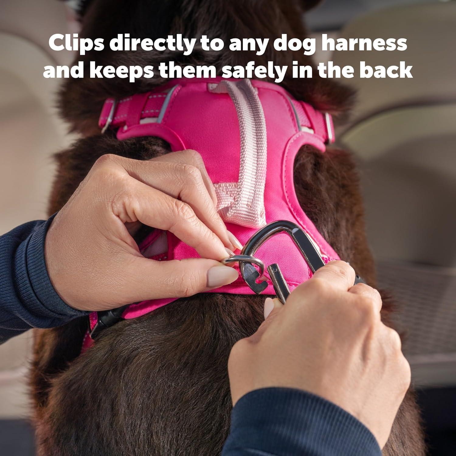 Cinturón de Seguridad para Perros PetSafe Ajustable 38-56 cm