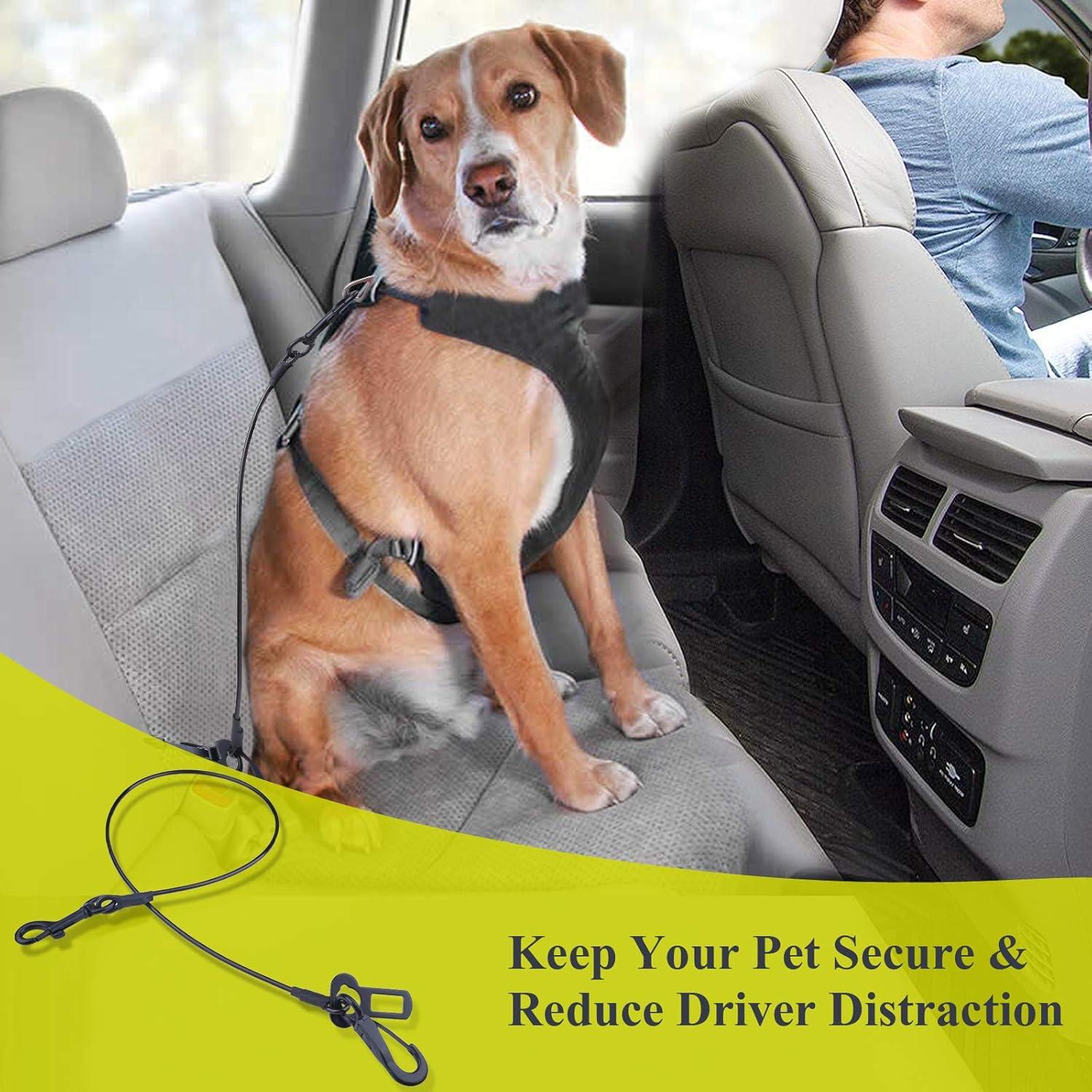 Cinturón de Seguridad para Perros VIVAGLORY 84.92 cm Negro