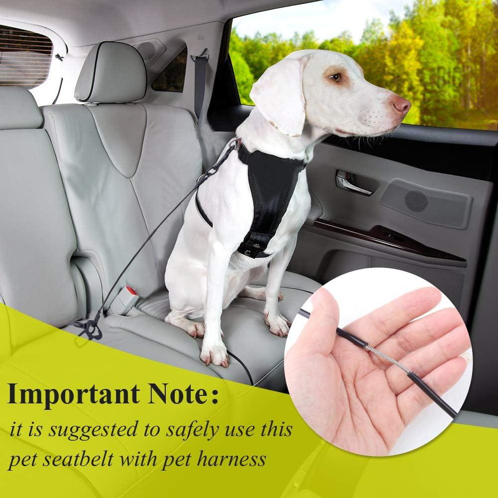 Cinturón de Seguridad para Perros VIVAGLORY 84.92 cm Negro