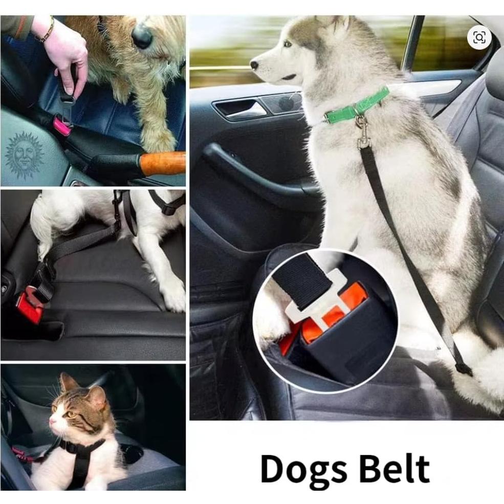 Cinturón de Seguridad para Perros Fast Prime Ajustable 20cm