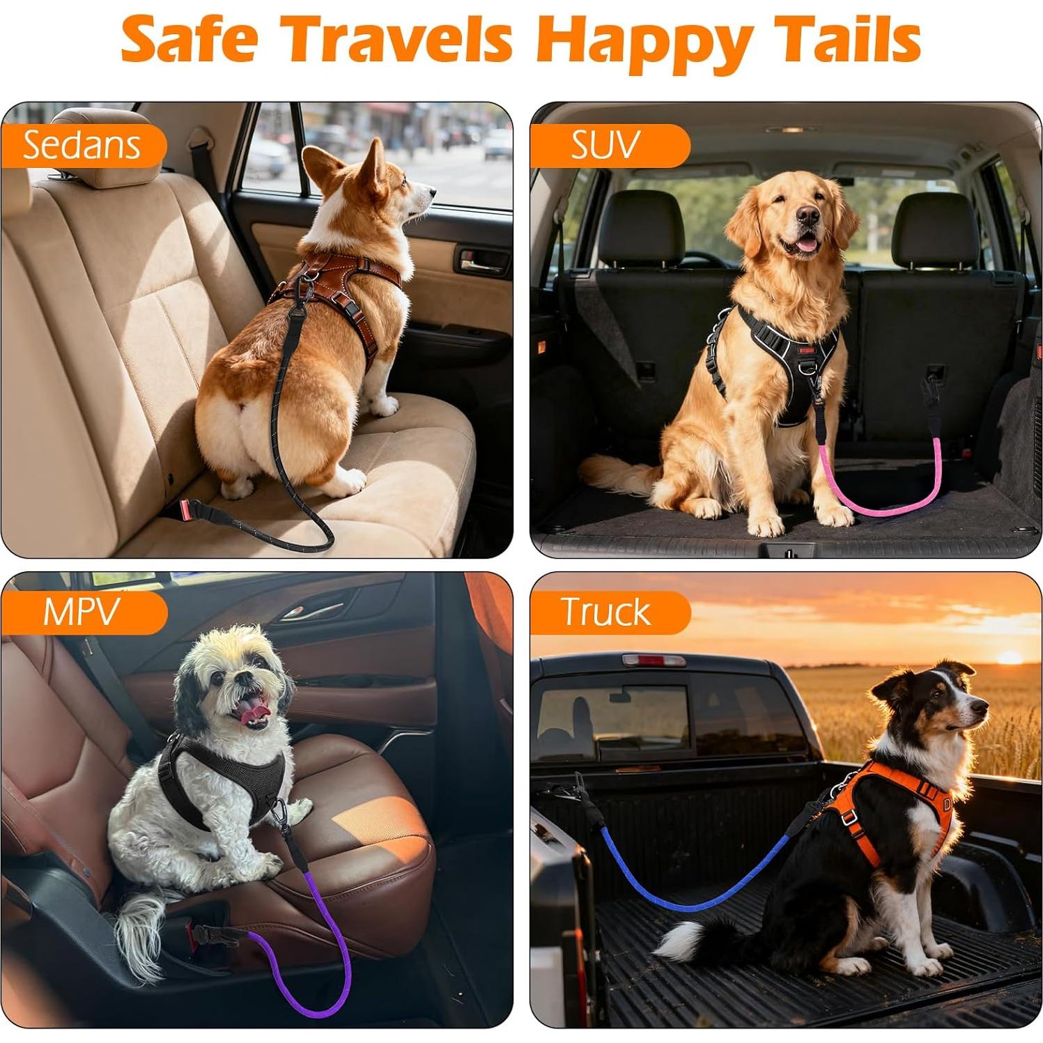 Cinturón de Seguridad para Perros PetBonus Arnés Turquesa