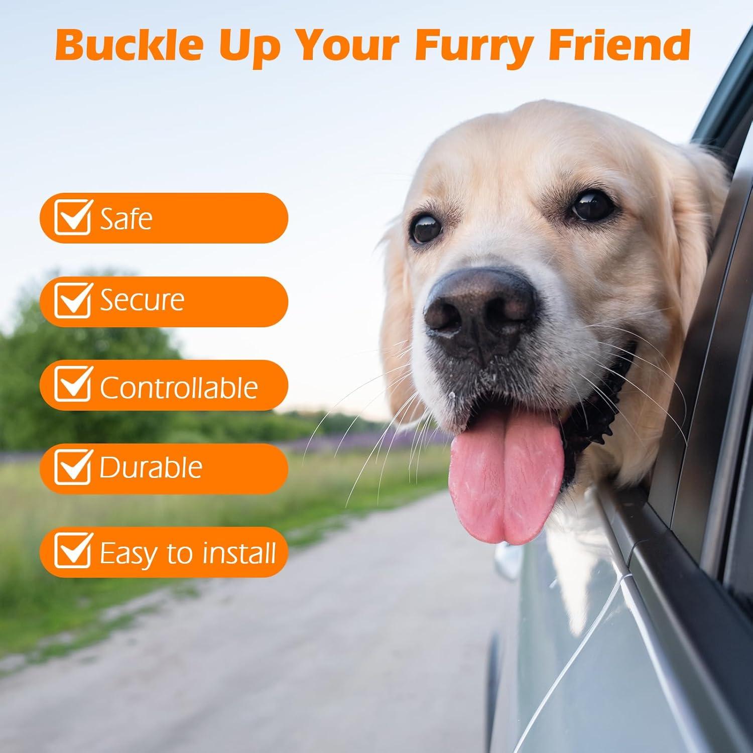 Cinturón de Seguridad para Perros PetBonus Arnés Turquesa