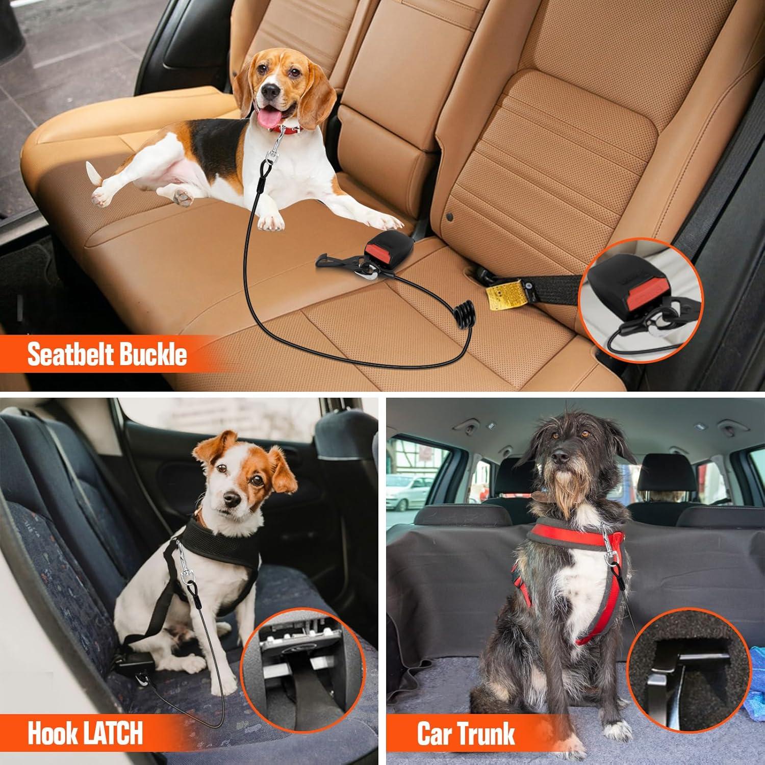 Cinturón de Seguridad para Perros Giiyoe con Amortiguador Bungee