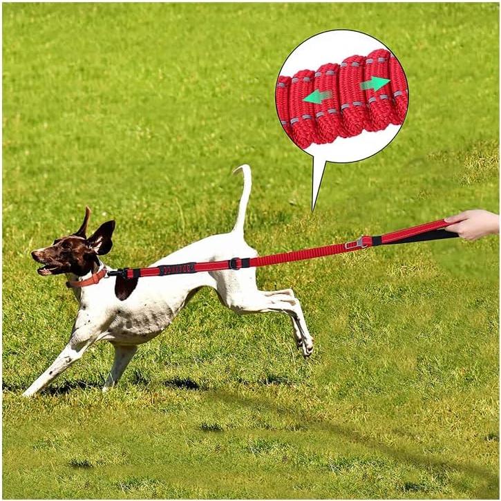 Dog Leash Bungee Multifunctional with Car Seatbelt for Large Dogs, Highly Reflective Threads Elastic Durable 3 to 5 Ft for Small Medium and Large Dogs, with LED Light Poop Bag Dispenser (Light Blue)