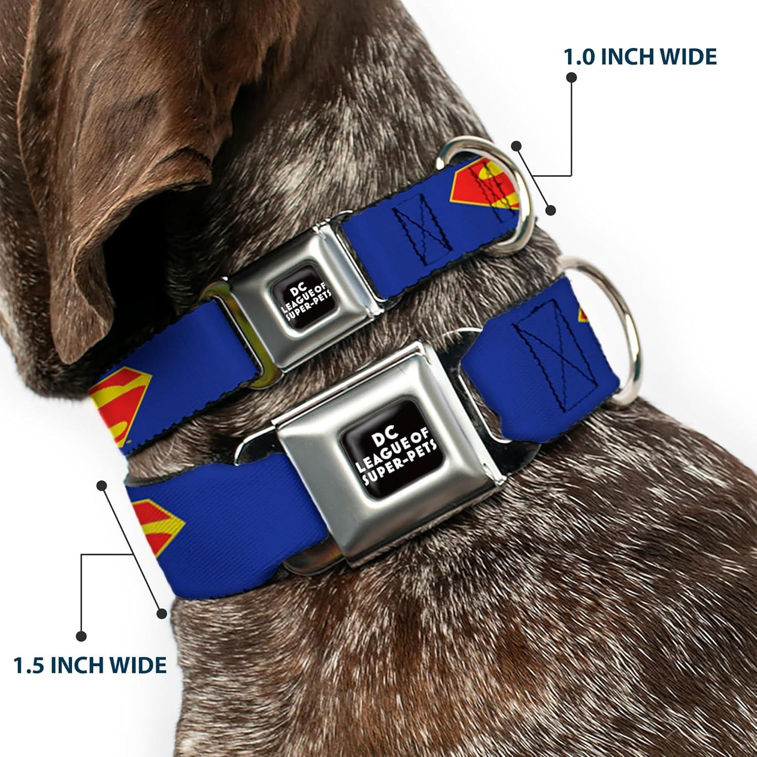 Collar de Perro con Hebilla de Seguridad Buckle-Down 28-42 cm