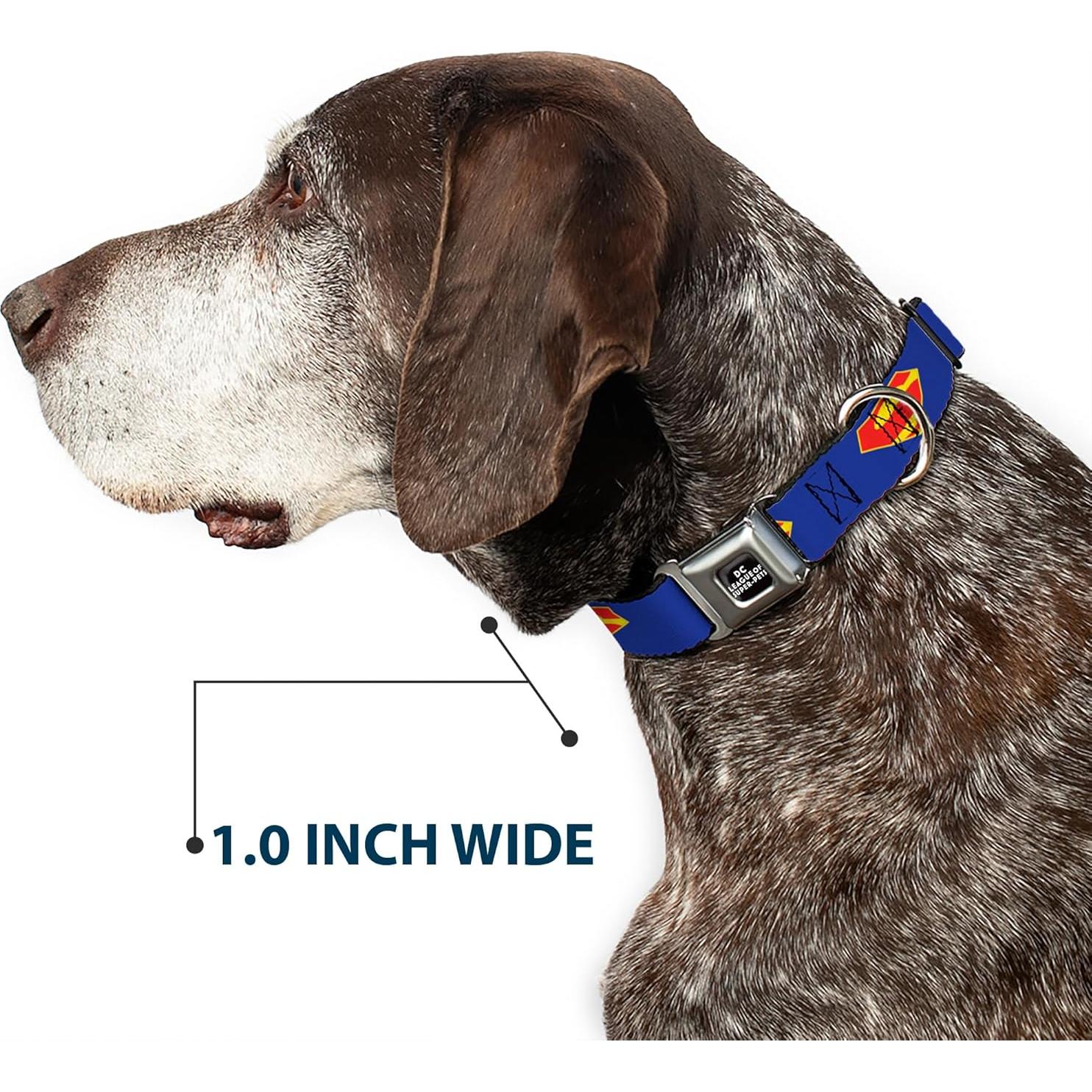 Collar de Perro con Hebilla de Seguridad Buckle-Down 28-42 cm