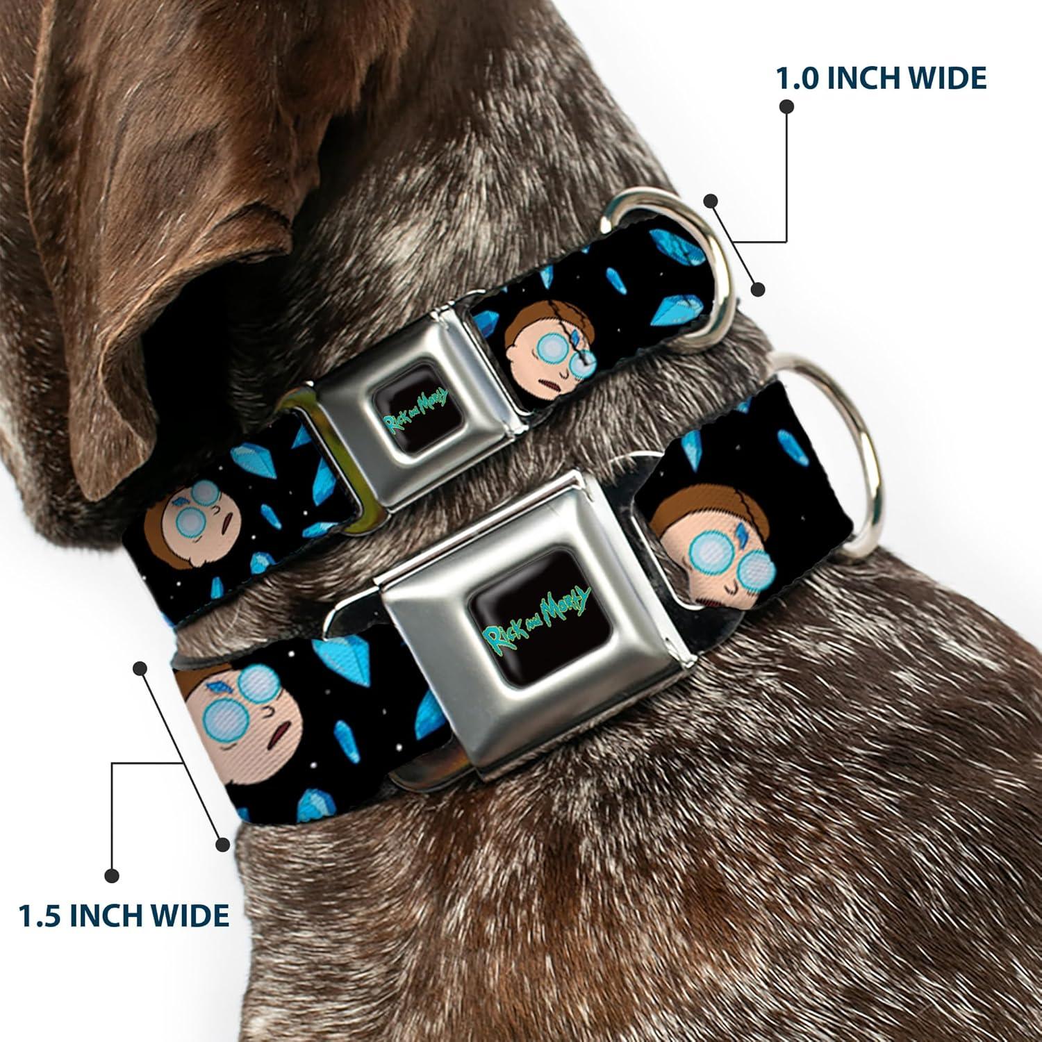 Collar para Perro Rick y Morty - Hebilla Seguridad Miniatura 24.1-33 cm